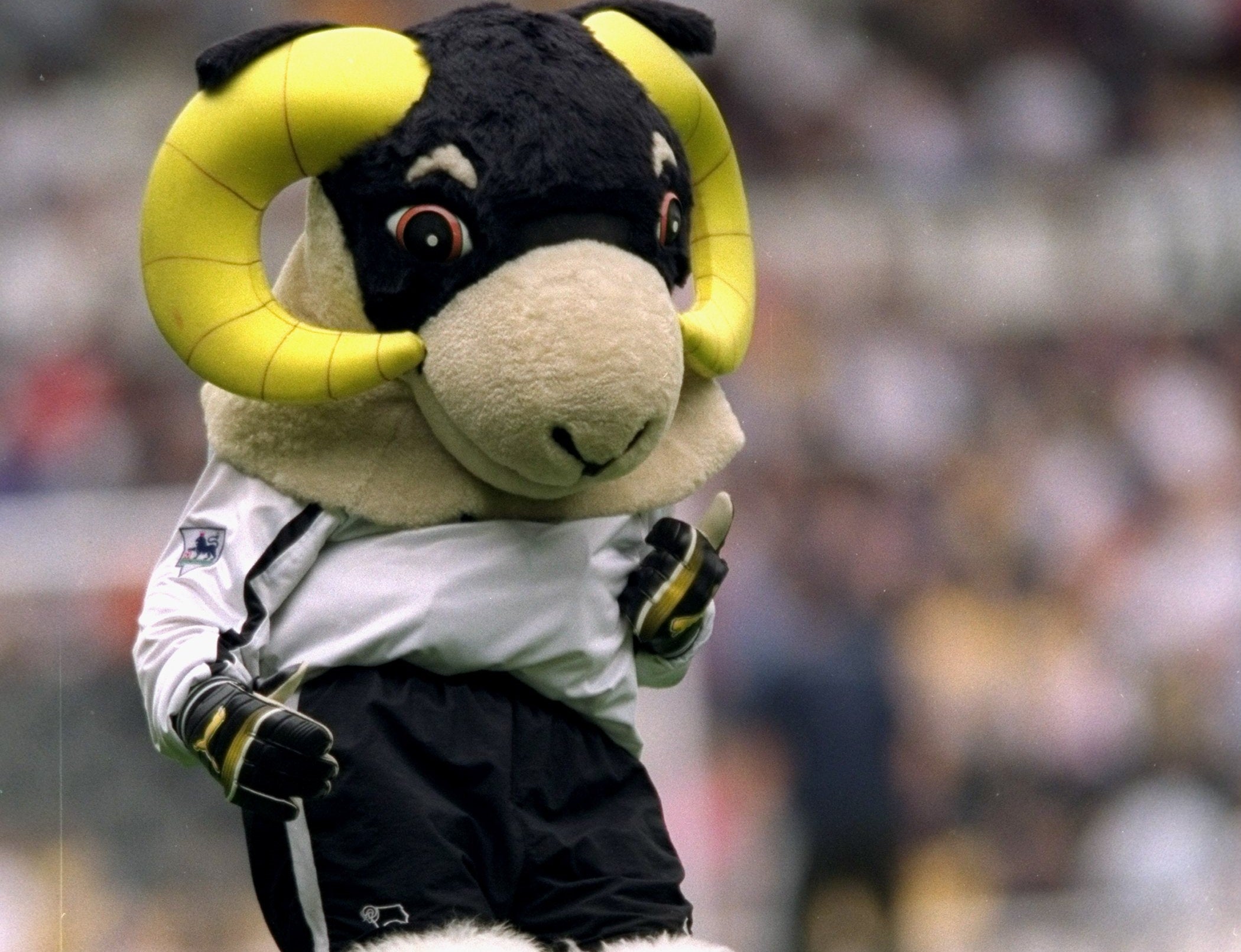 Derby County's mascot, a ram