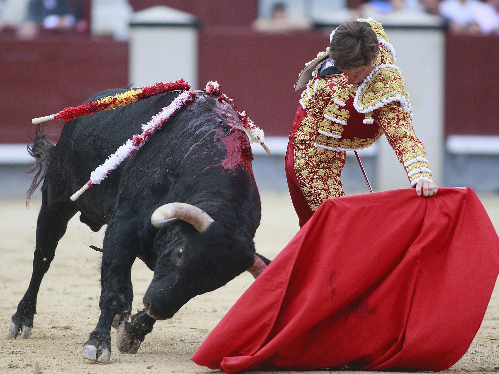 No bull: a recent poll found that less than a third of Spanish people support bullfighting