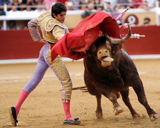 A bullfighter baits a bull at the Bayonne festival in 2014