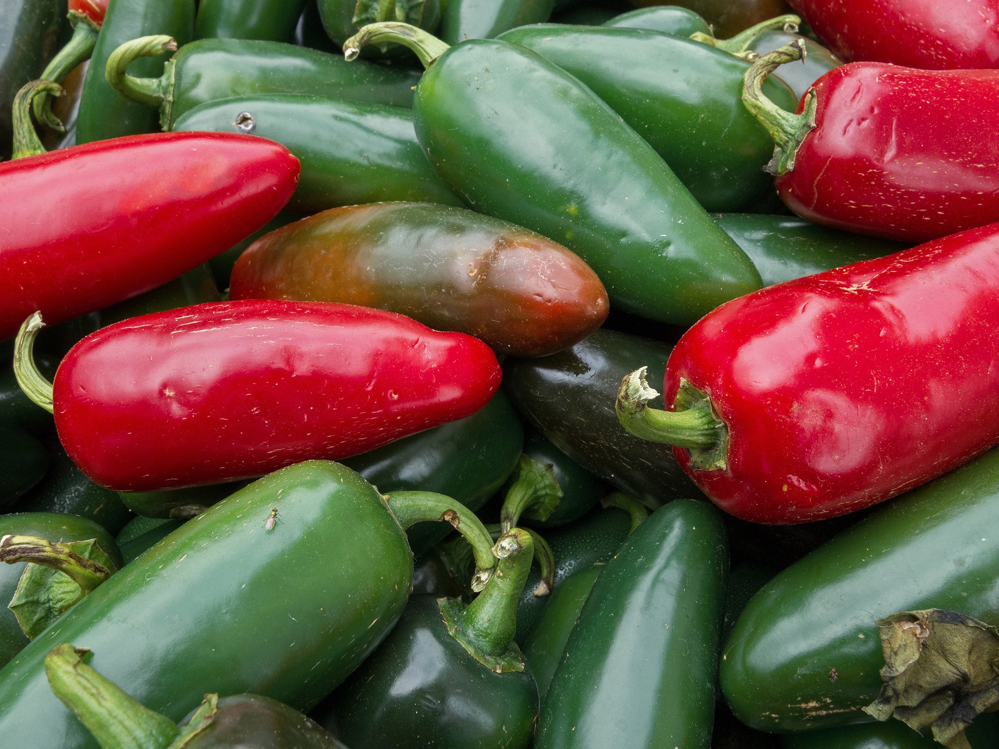 Jalapenos at a farmer's market in Oakton, Virginia