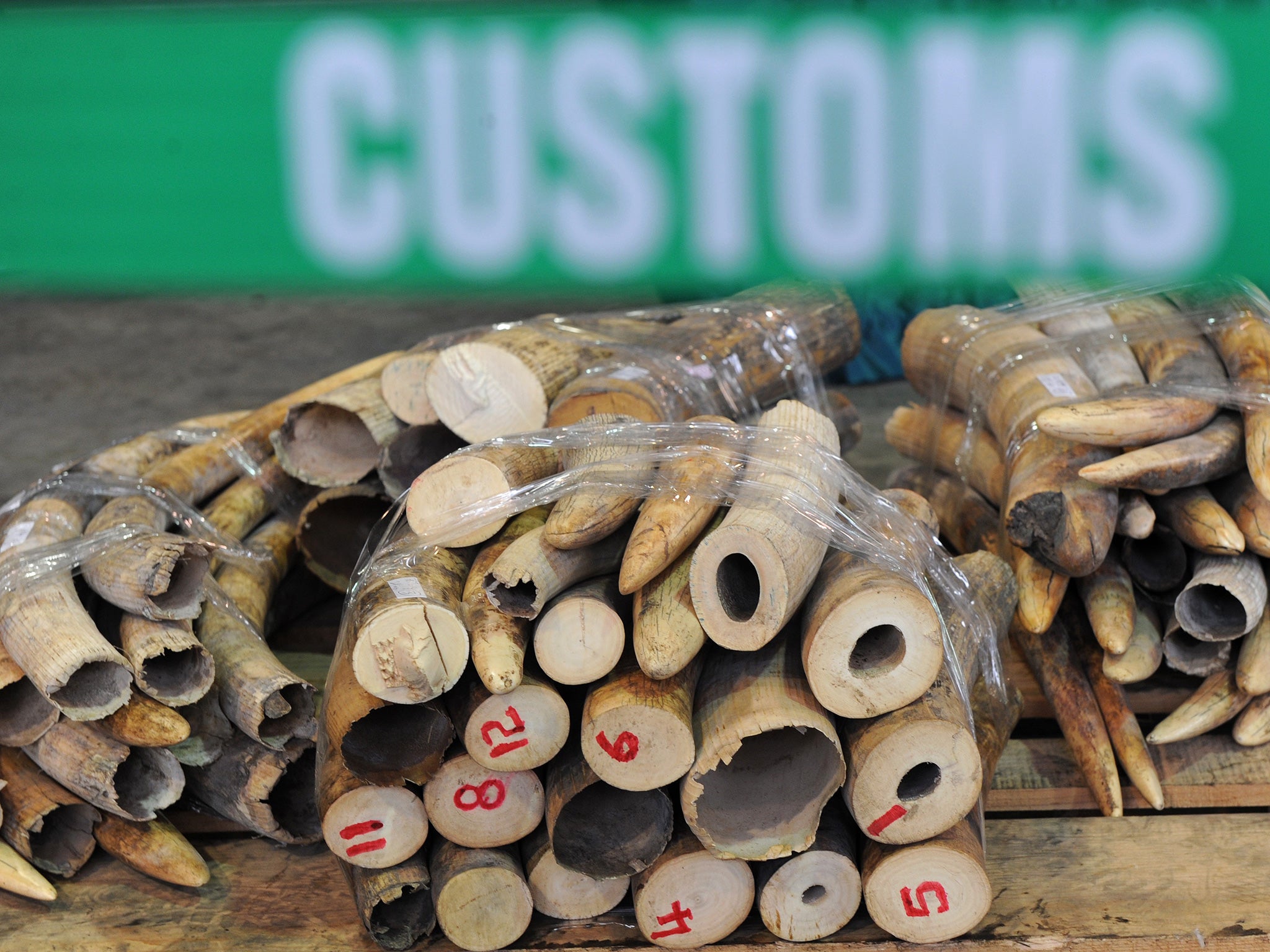 Demand across Asia have driven up the price of ivory and accentuated the poaching of elephants