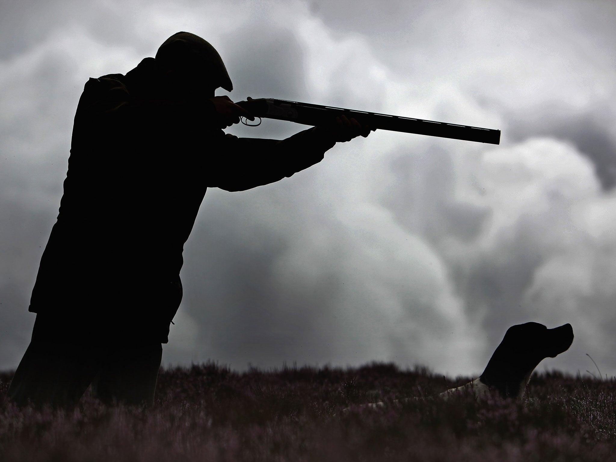 A Grouse Keeper views a grouse moor, at Horseupcleugh estate in the Lammermuir Hills in the Borders