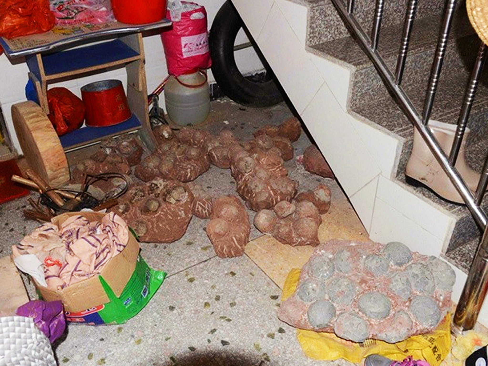 The astonishing stash was discovered at a village home in southern China