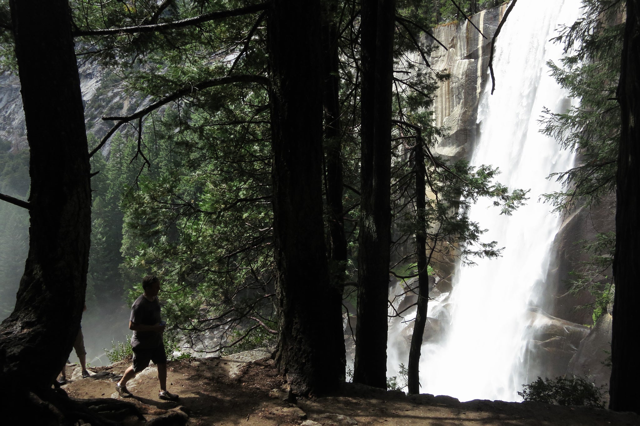 Yosemite National Park is a popular camping destination, but authorities are warning campers to take care around rodents