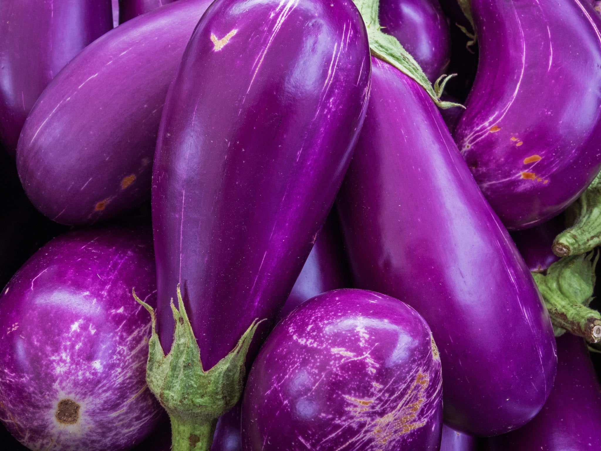 The hotel's restaurant misspelled their aubergine salad, instead calling it an 'Aborigine' salad