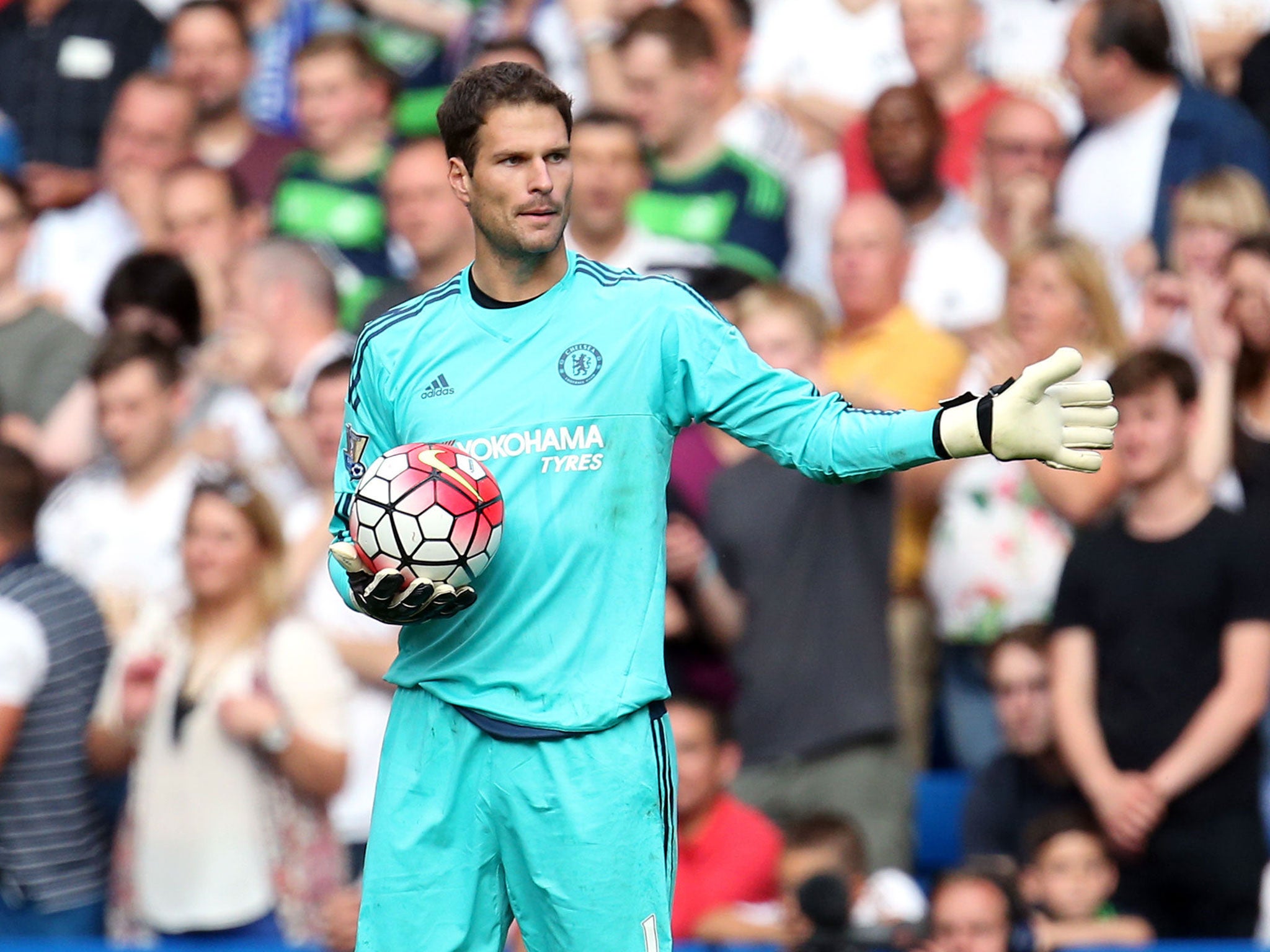 Asmir Begovic could start against Everton