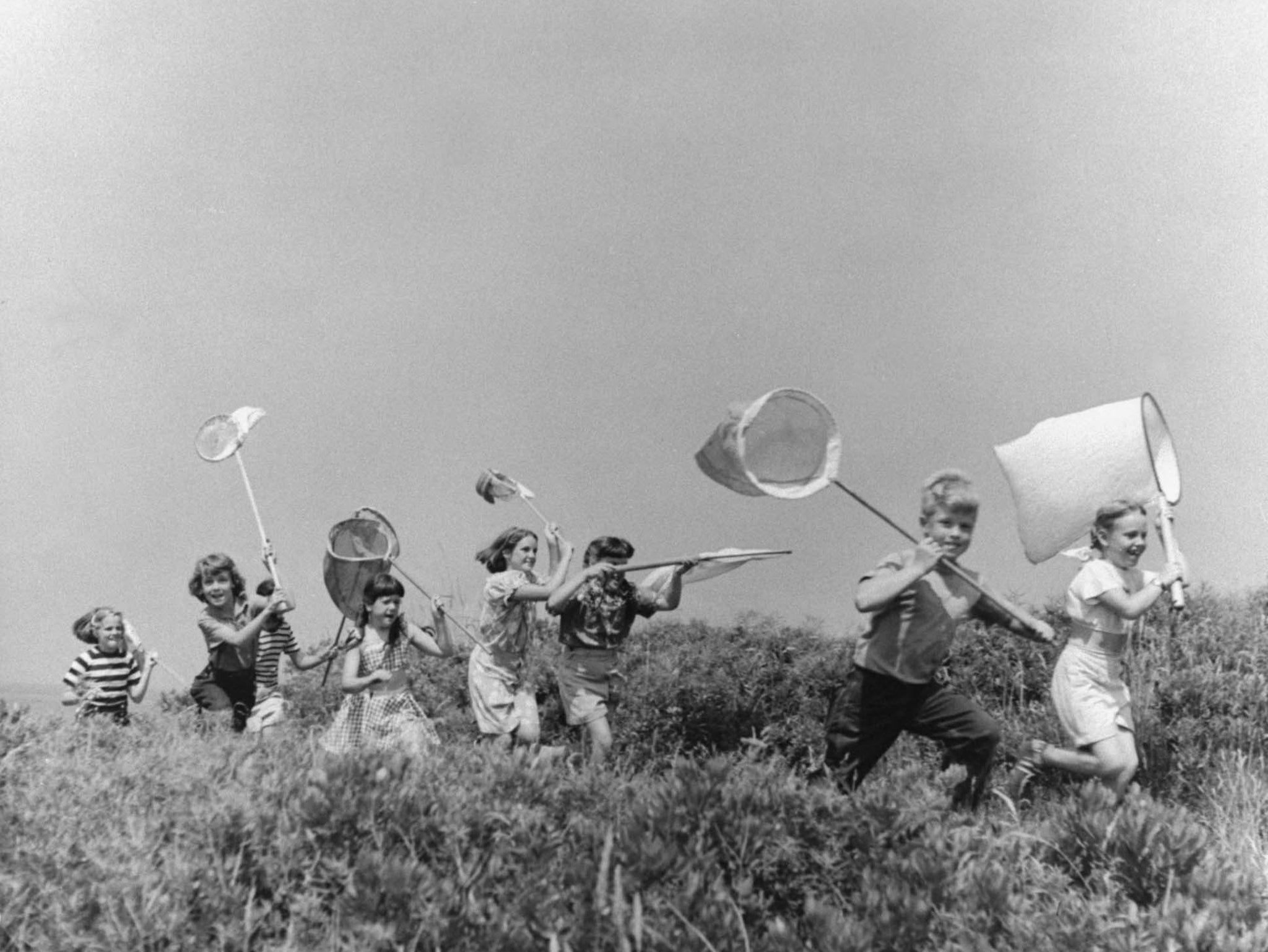 Children running in field with butterfly nets.