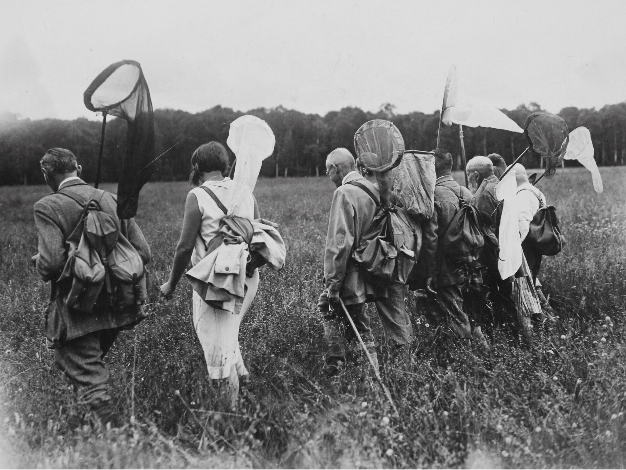 German butterfly and beetle collectors club hunting with insect nets. About 1930