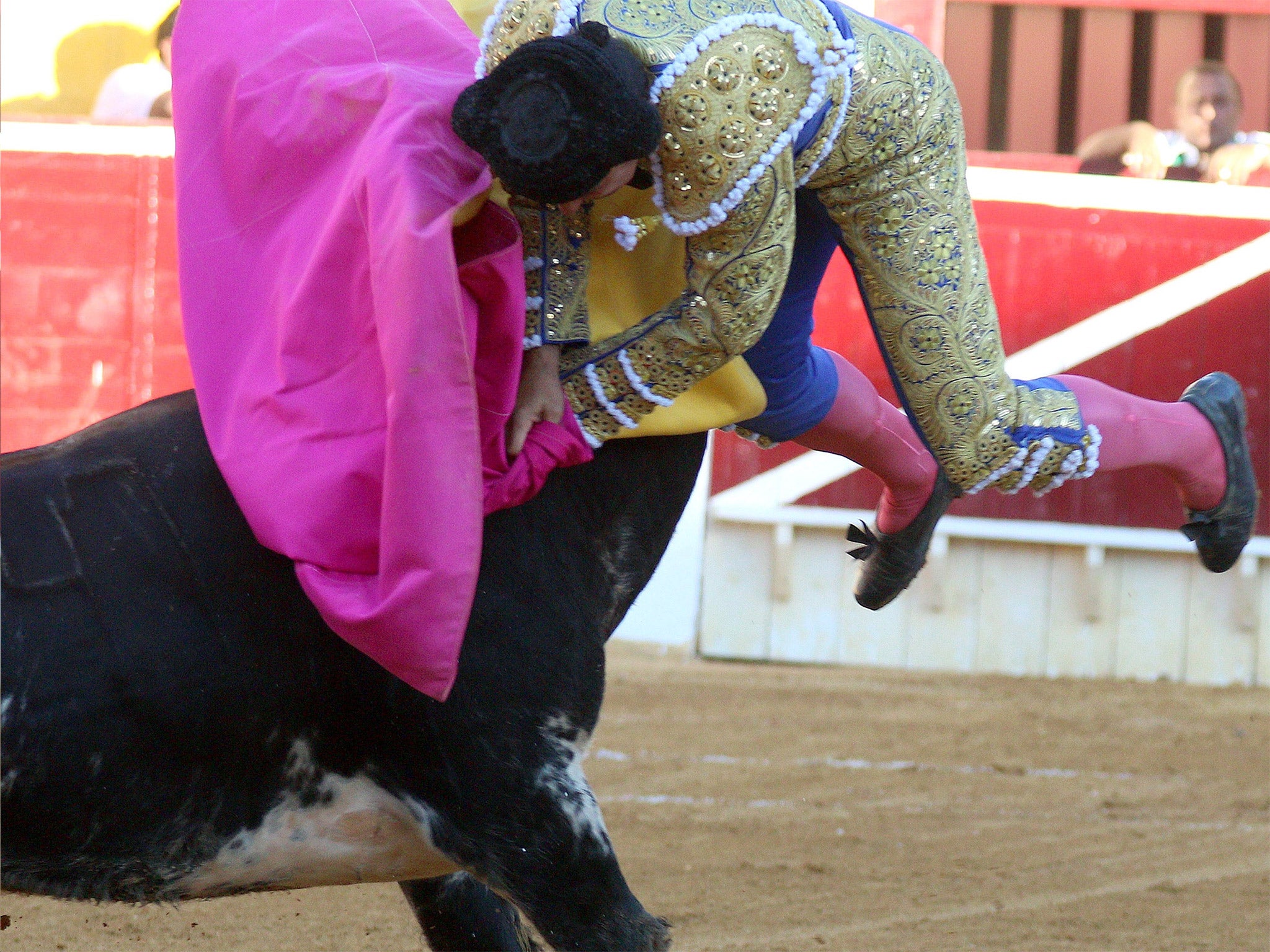 A bull gores Spanish matador Francisco Rivera Ordóñez during the San Lorenzo fair in the northern Spanish town of Huesca on Monday