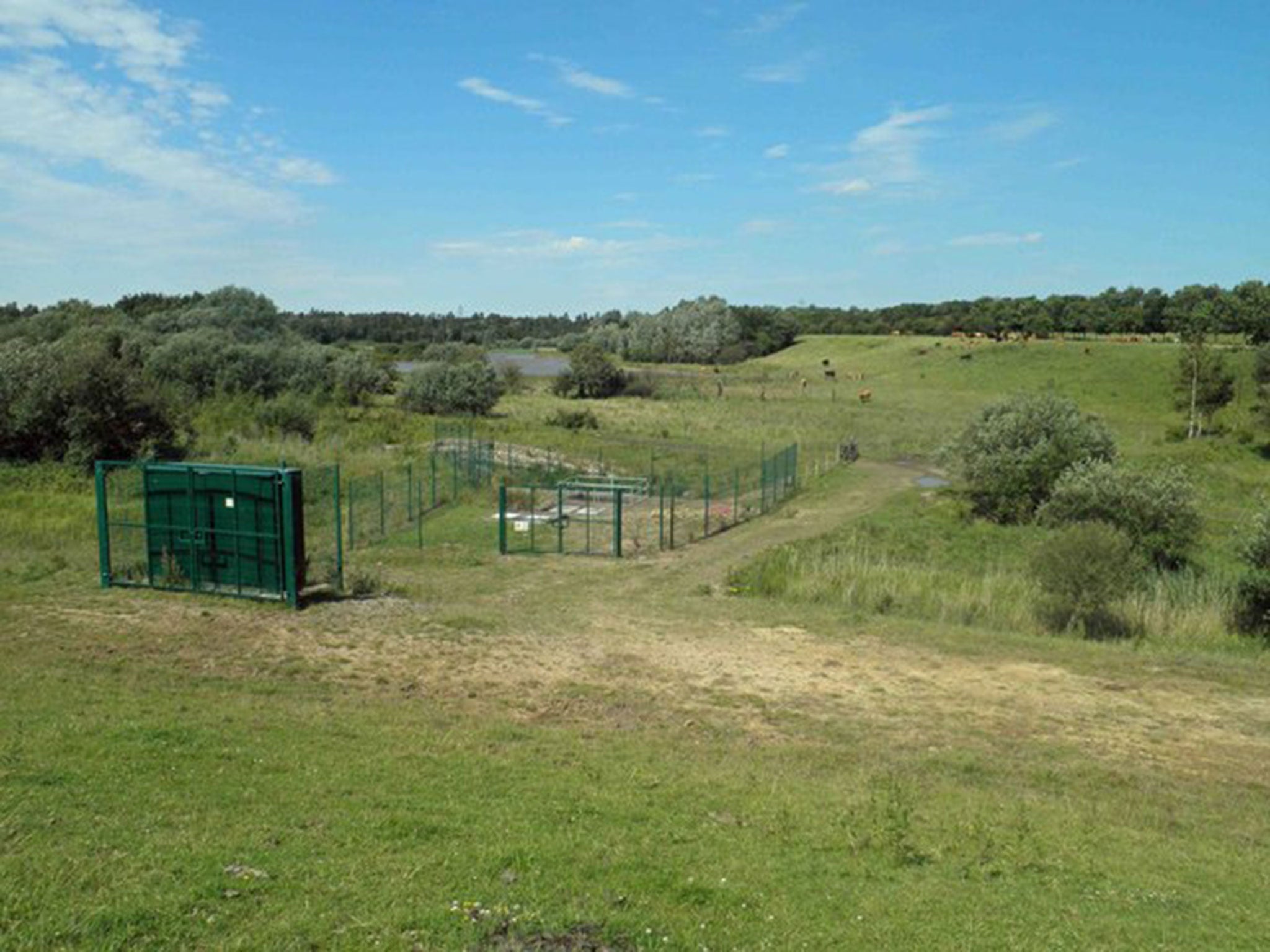 Thorpe Marsh nature reserve