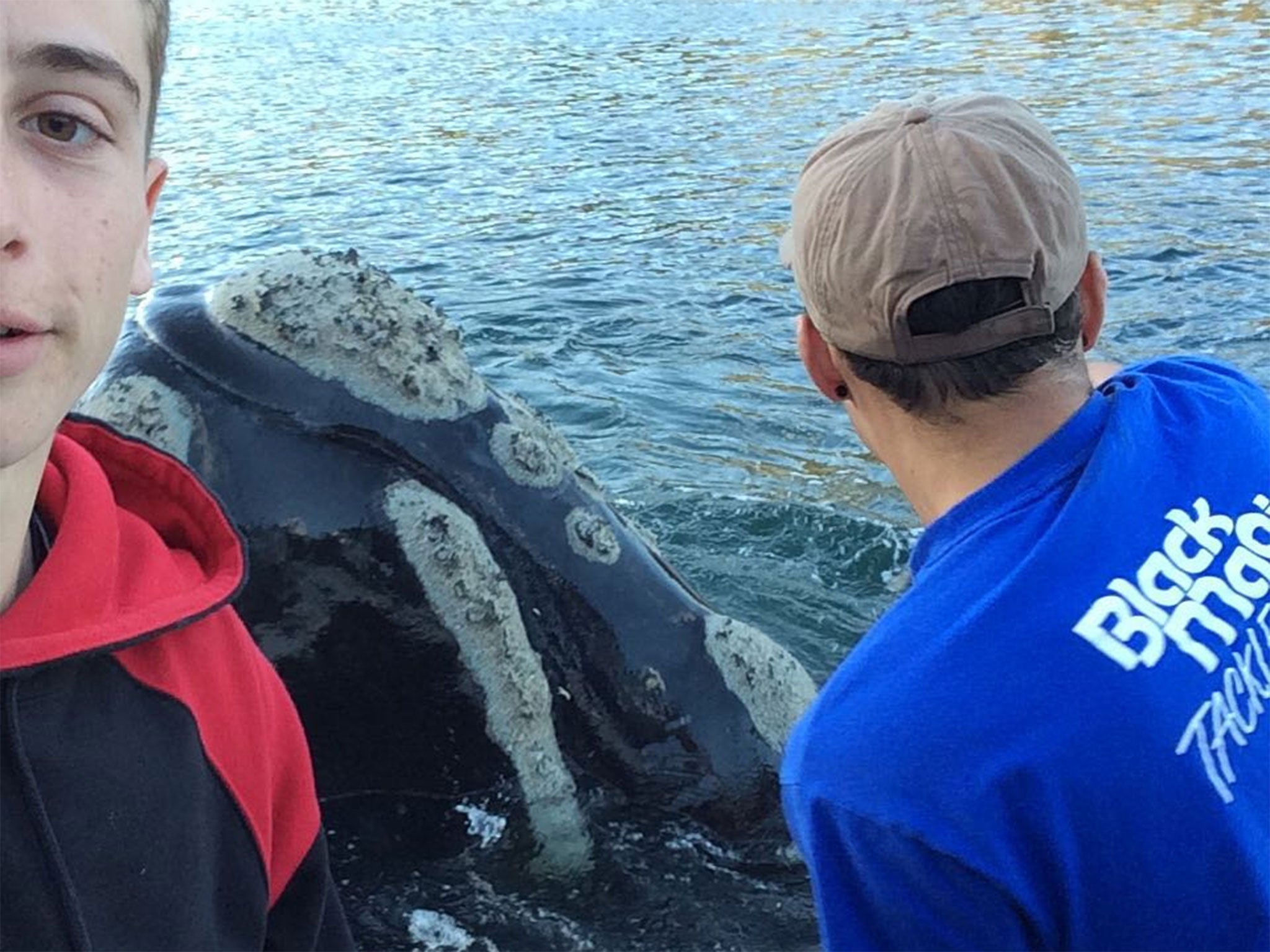 Michael Riggio takes a selfie as his friend, Ivan Iskenderian, reaches out to remove rubbish from a whale's head