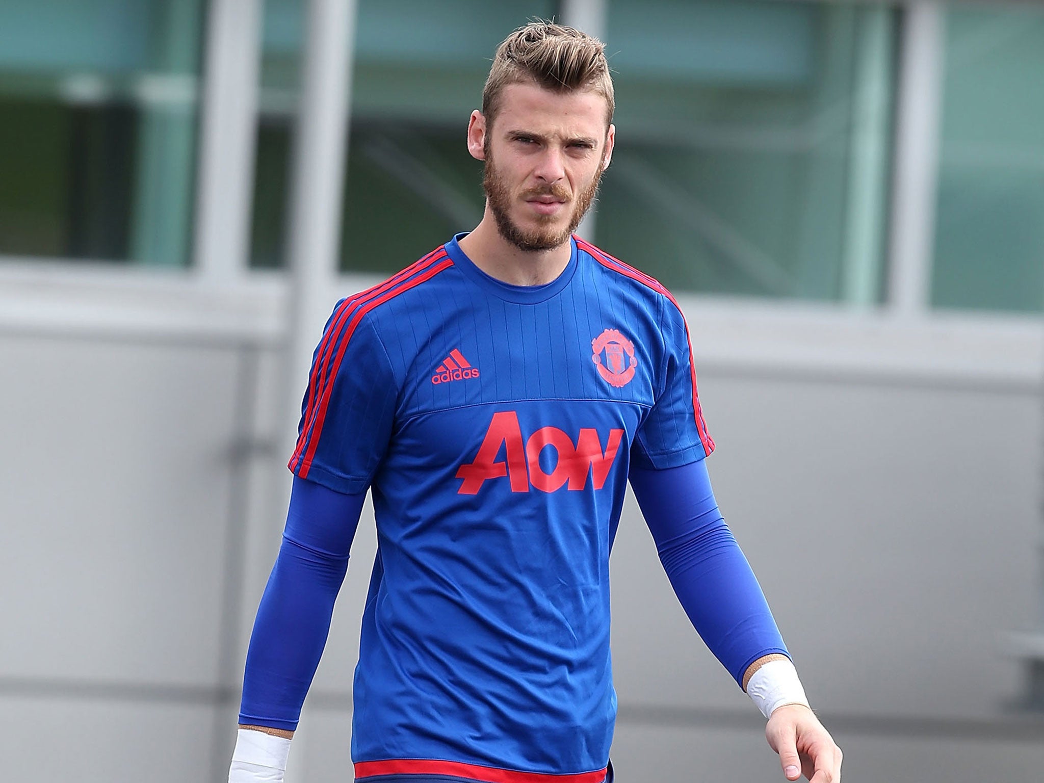 Manchester United goalkeeper David De Gea