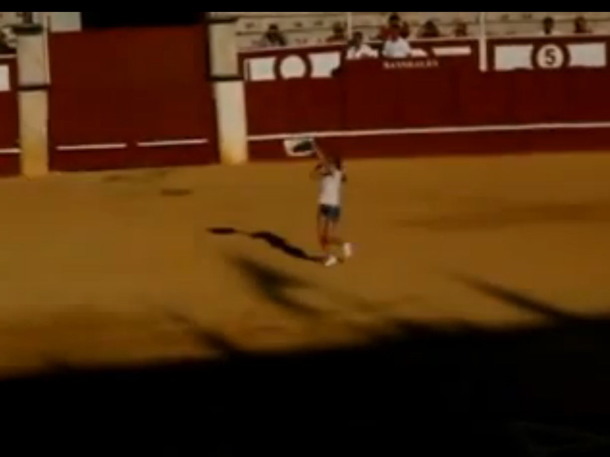 Virginia Ruiz is seen running across the ring towards the bull holding a poster, 16th August 2015