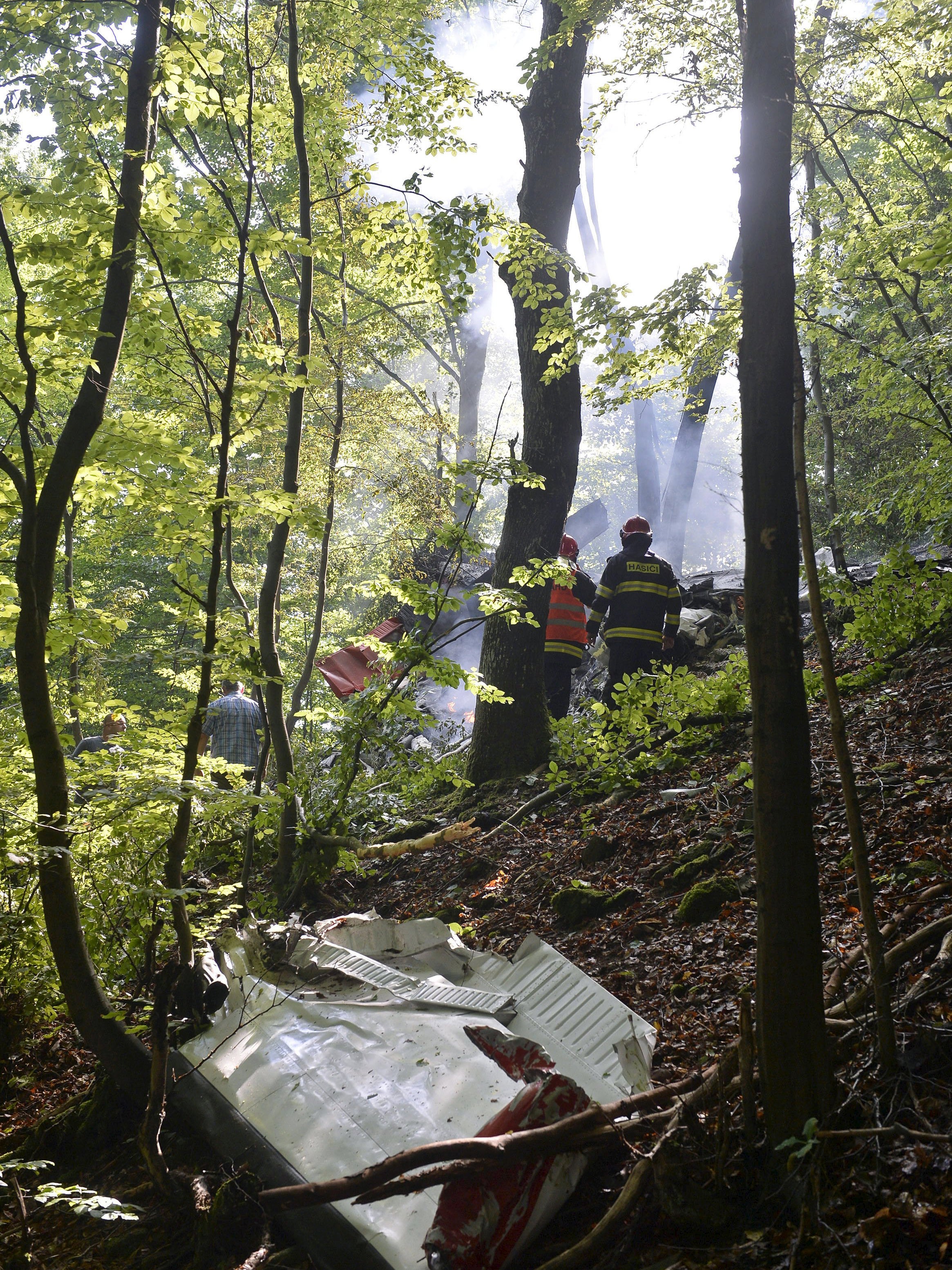 A part of the wreckage sits amongst the trees as firefighters explore the site of the wreckage