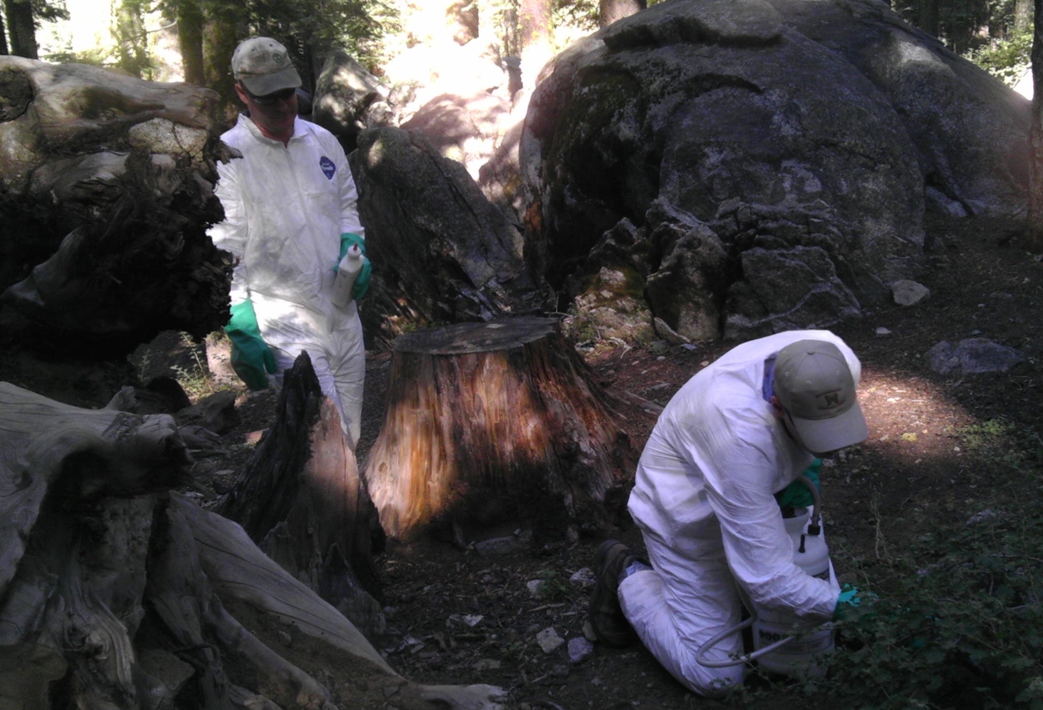 California Department of Public Health investigate the national park.