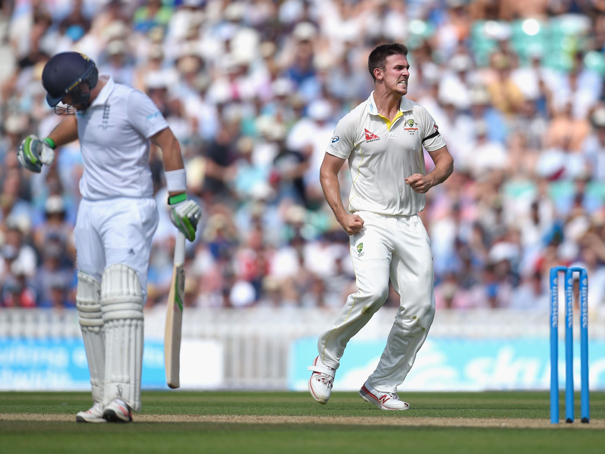 Mitchell Marsh celebrates taking the wicket of Ian Bell