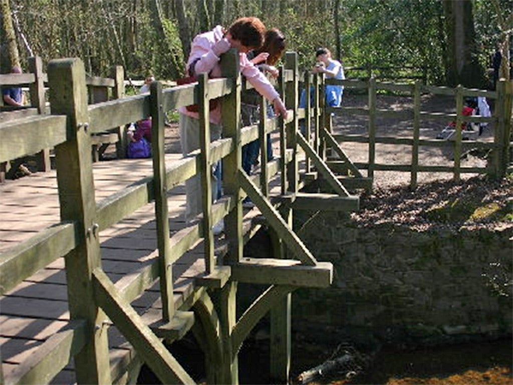 Pooh Sticks Bridge at Ashdown Forest