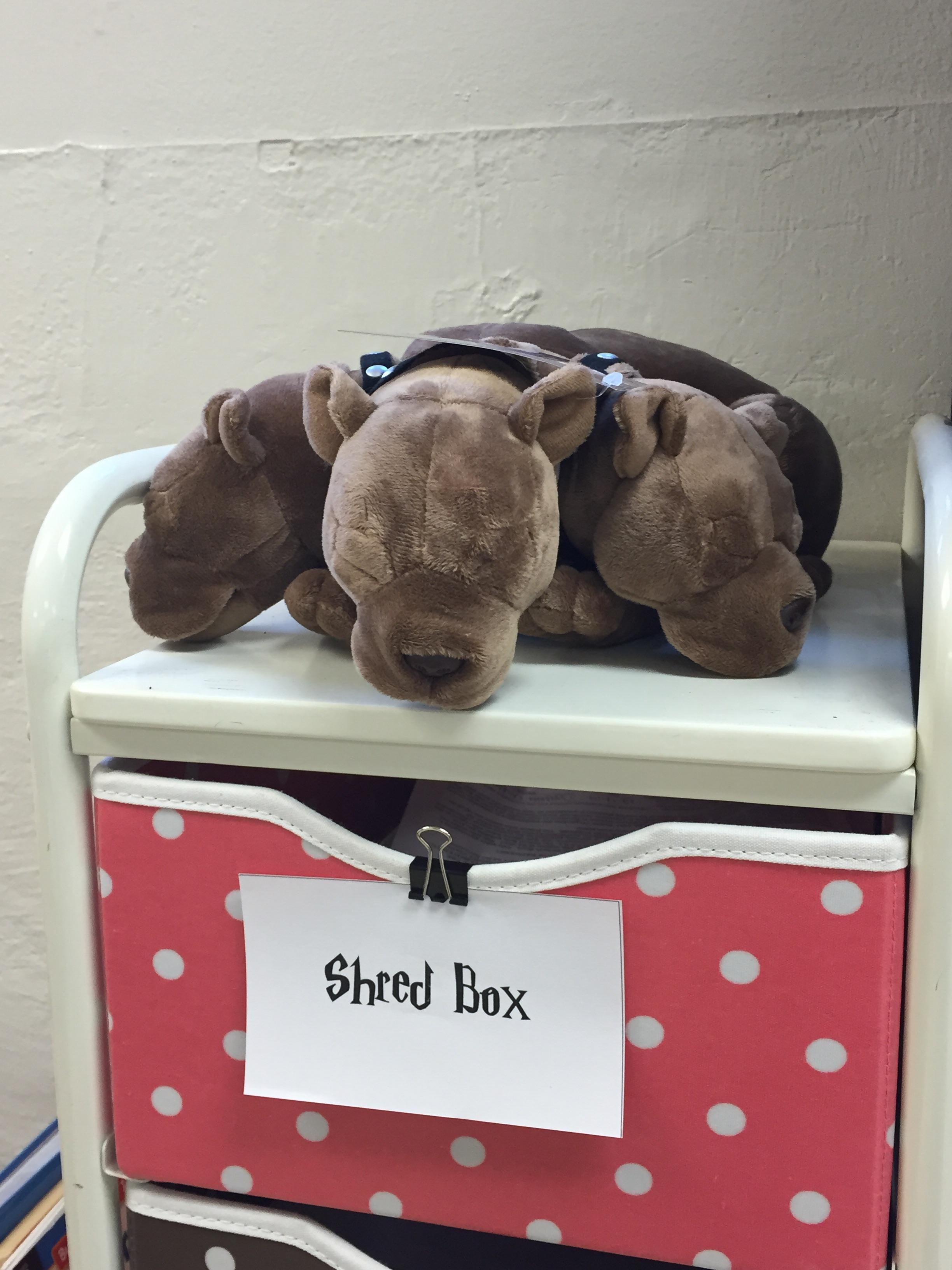 Fluffy the three-headed dog