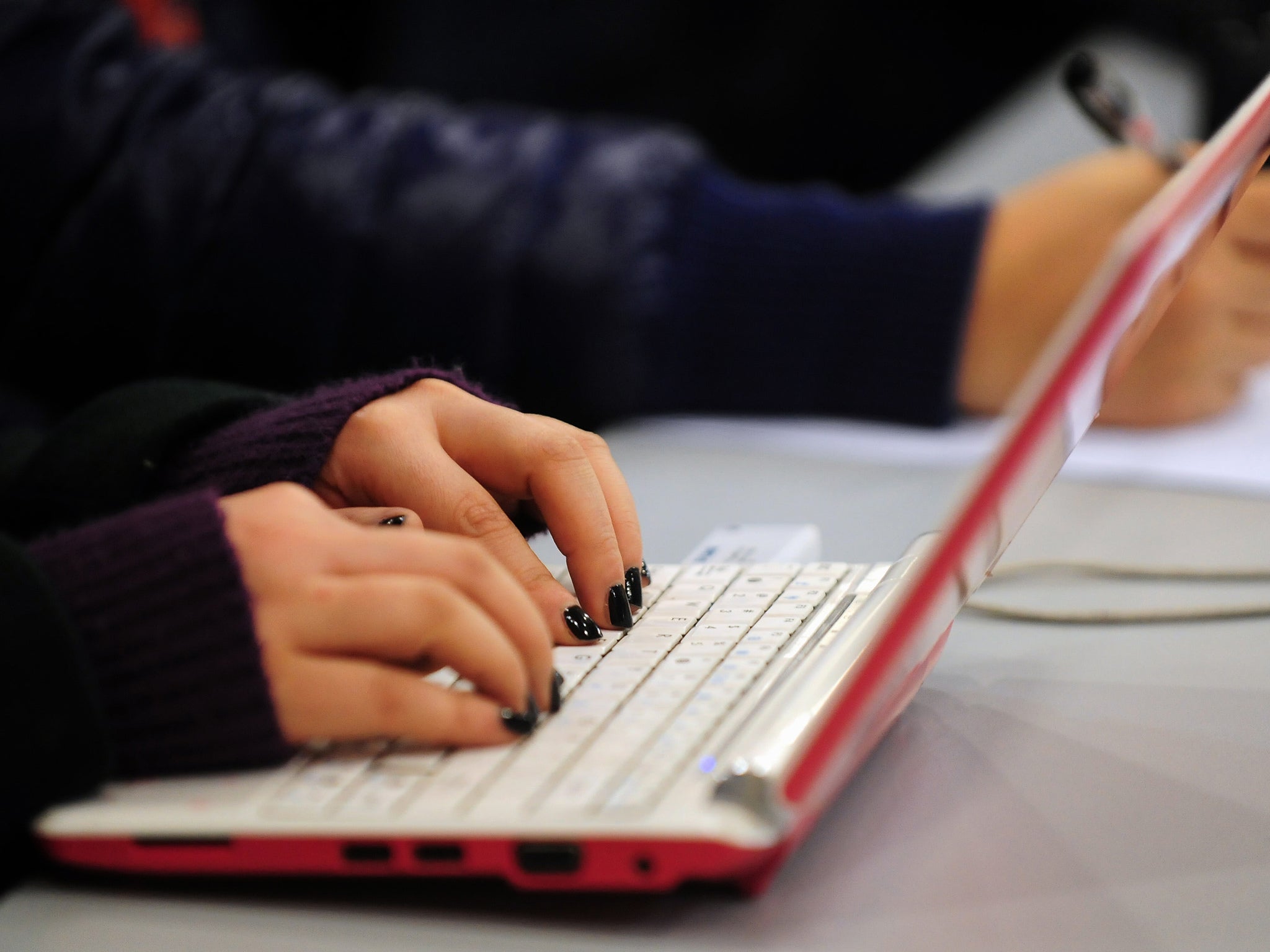 The schoolgirl used her school's computers