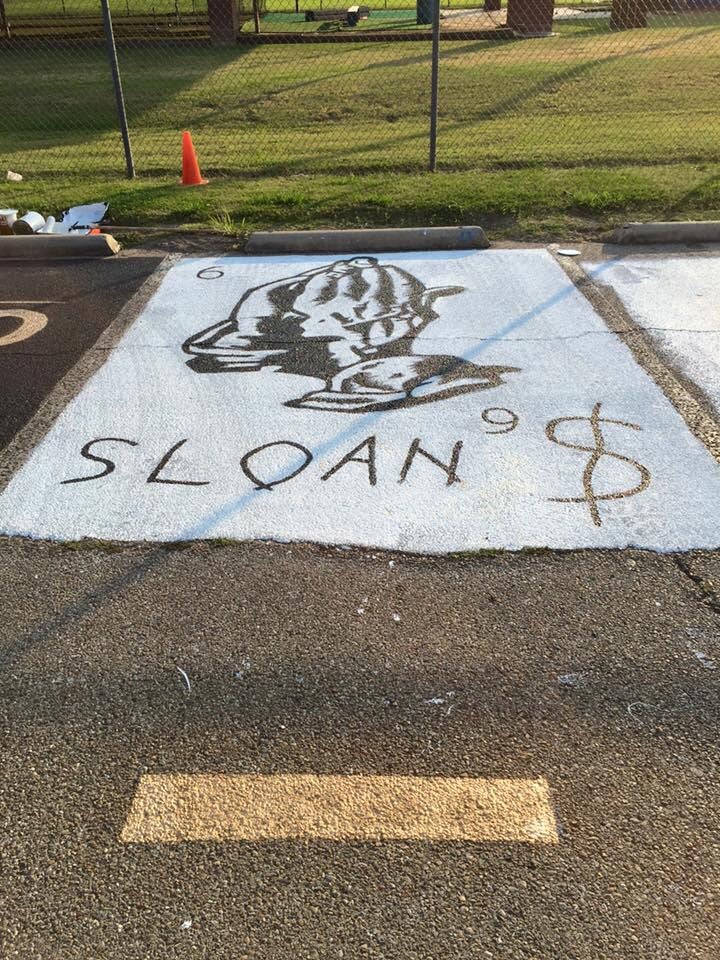 (Picture: andrewalmond10)