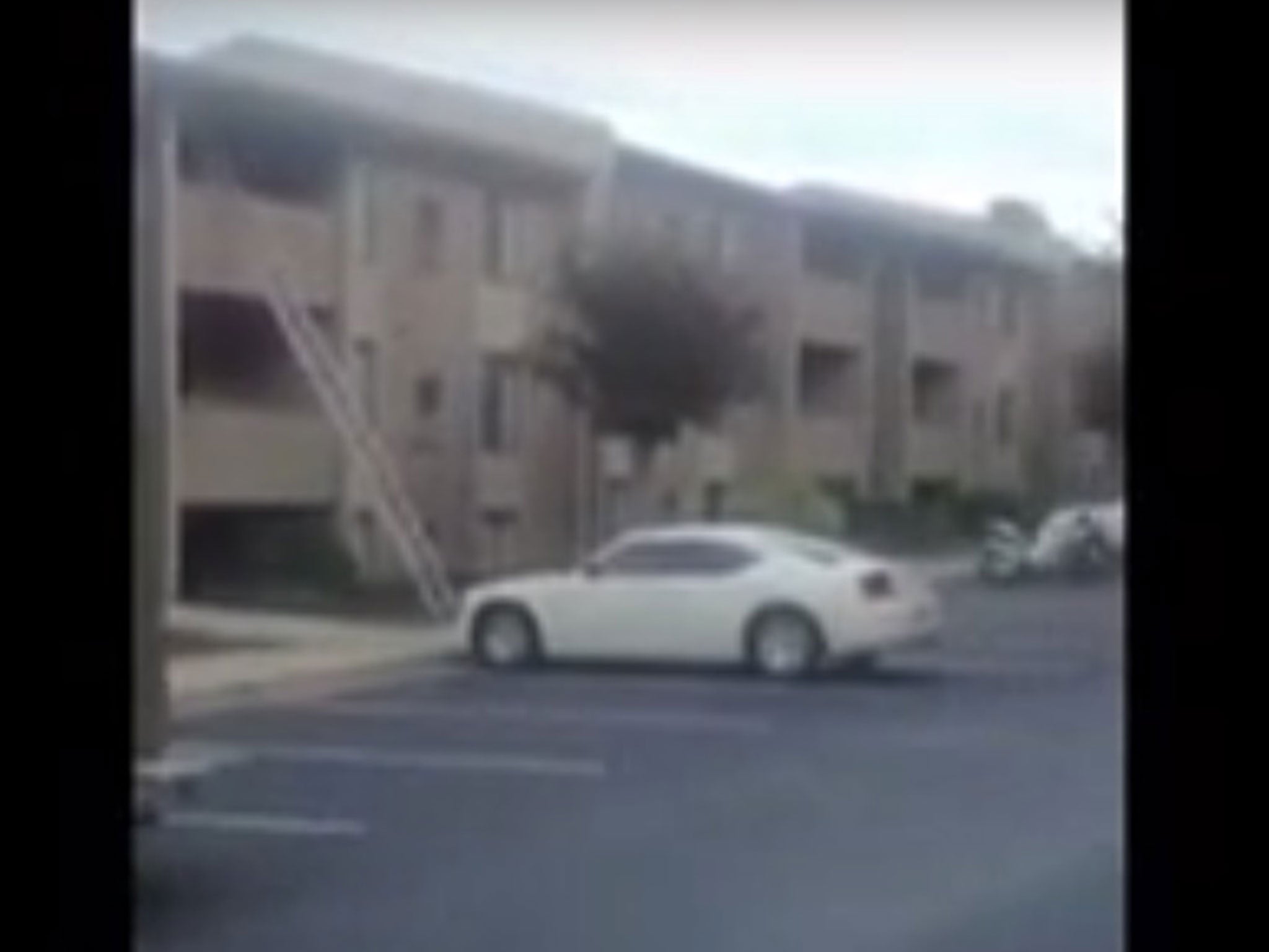 The exterior of the apartment complex where Vester Flanagan lived with his two cats