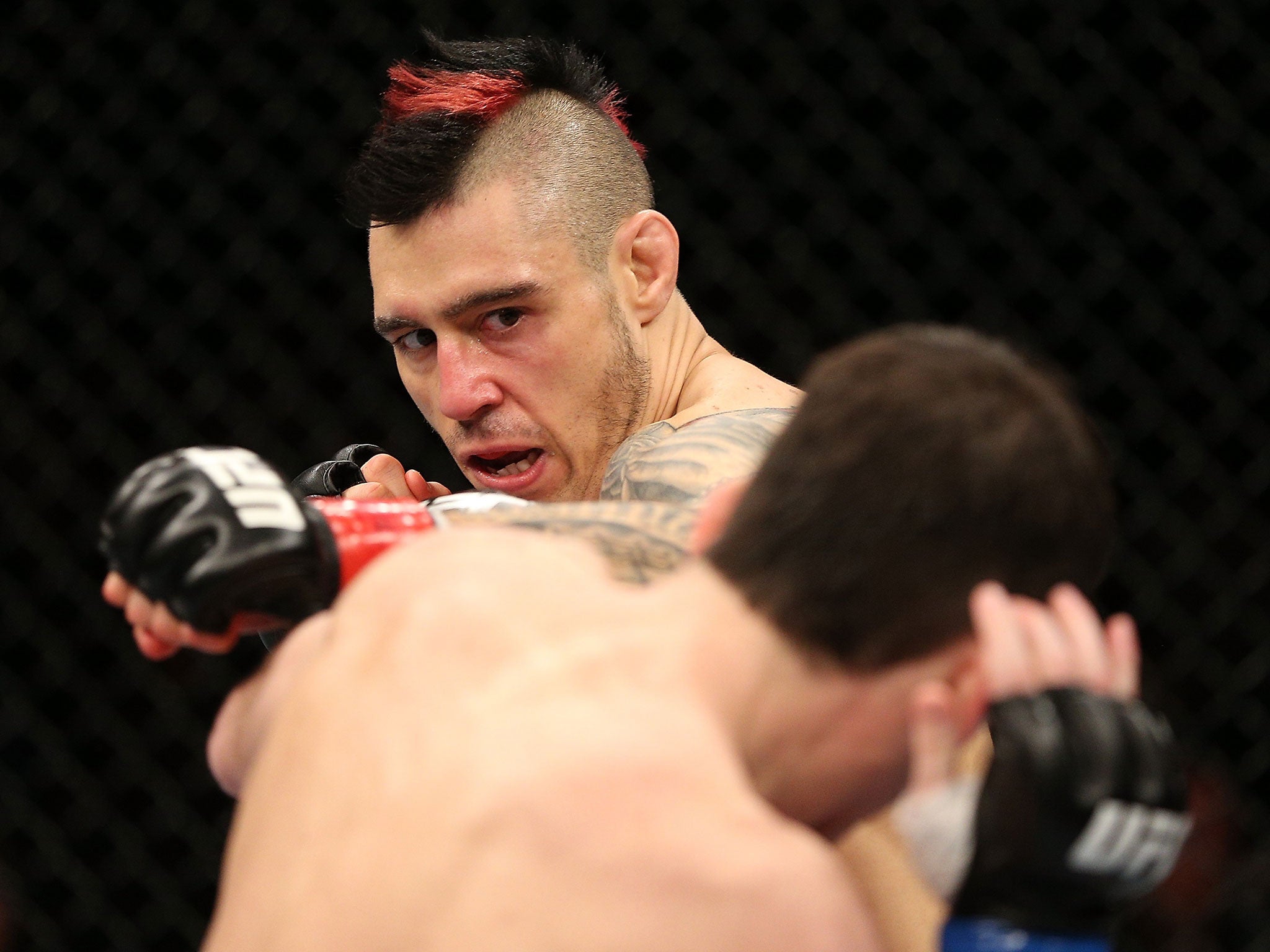 Dan Hardy punches Amir Sadollah