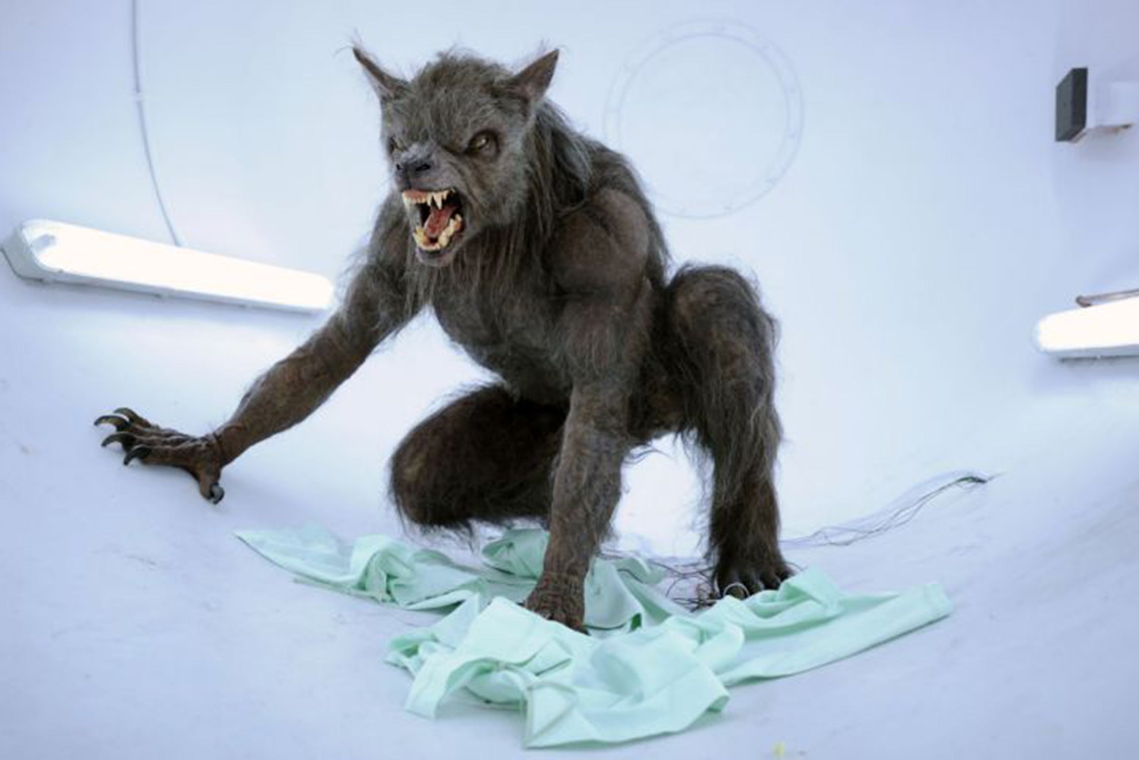 ‘Being Human’, a recent BBC series, took a sideways look at werewolf lore