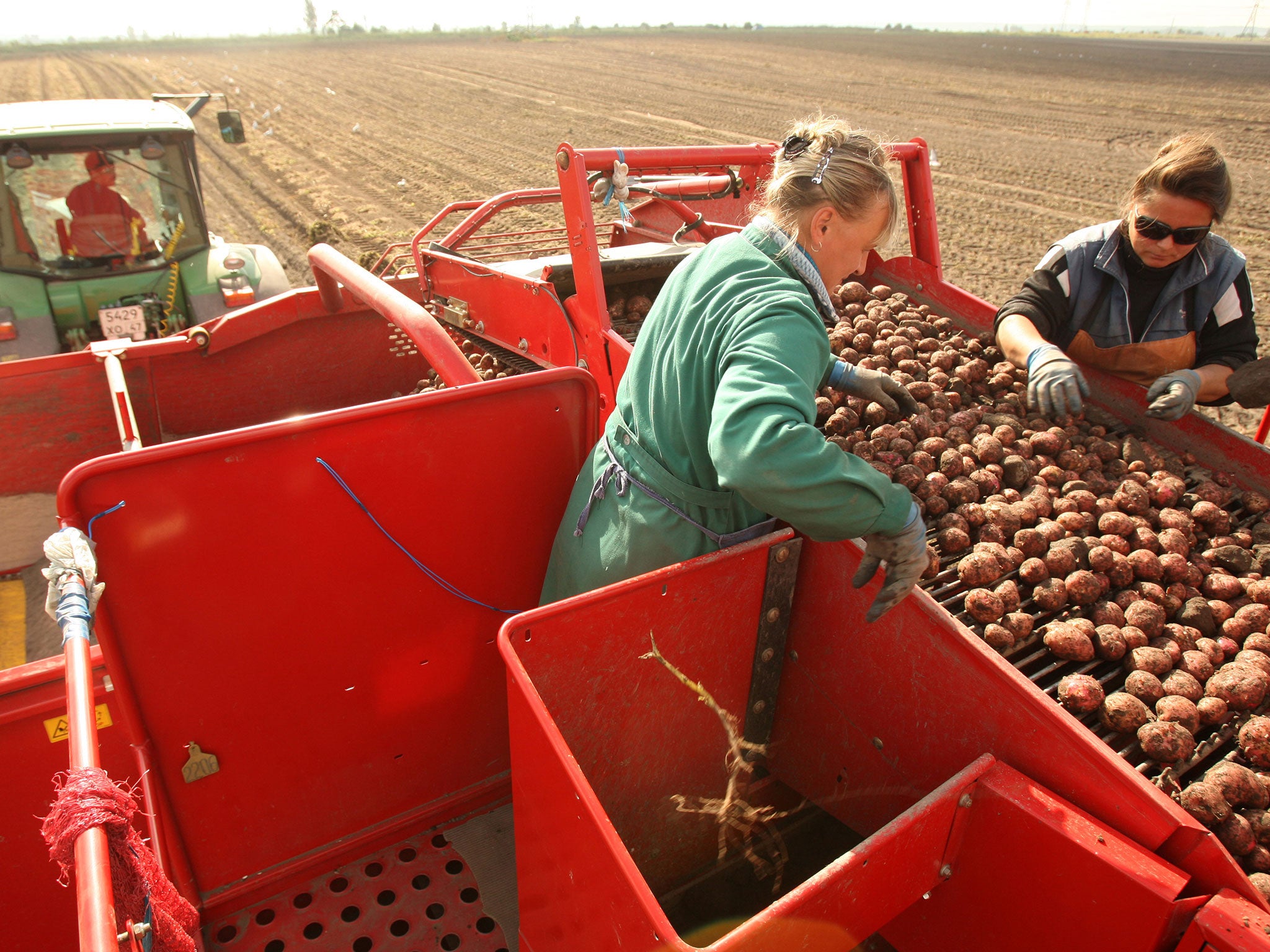 Smaller farms are at a disadvantage compared with large ones, which receive government aid and loans