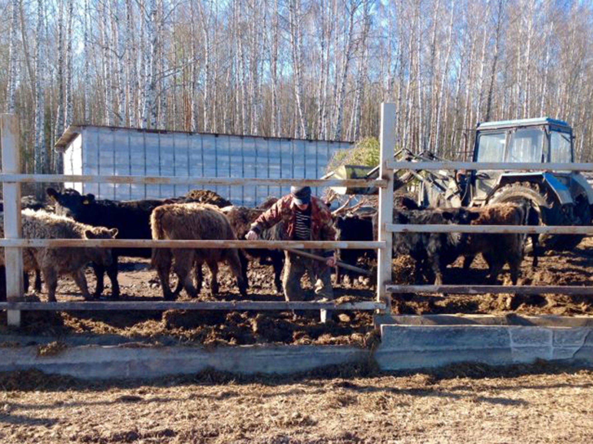 The Brodowski farm, where the Russian authorities slaughtered a farmer’s pigs – and have not yet paid due compensation