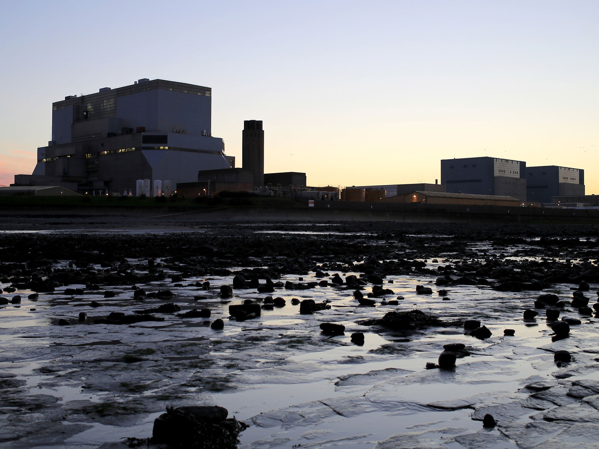 The powerstation site is on a vital migratory route for many fish species