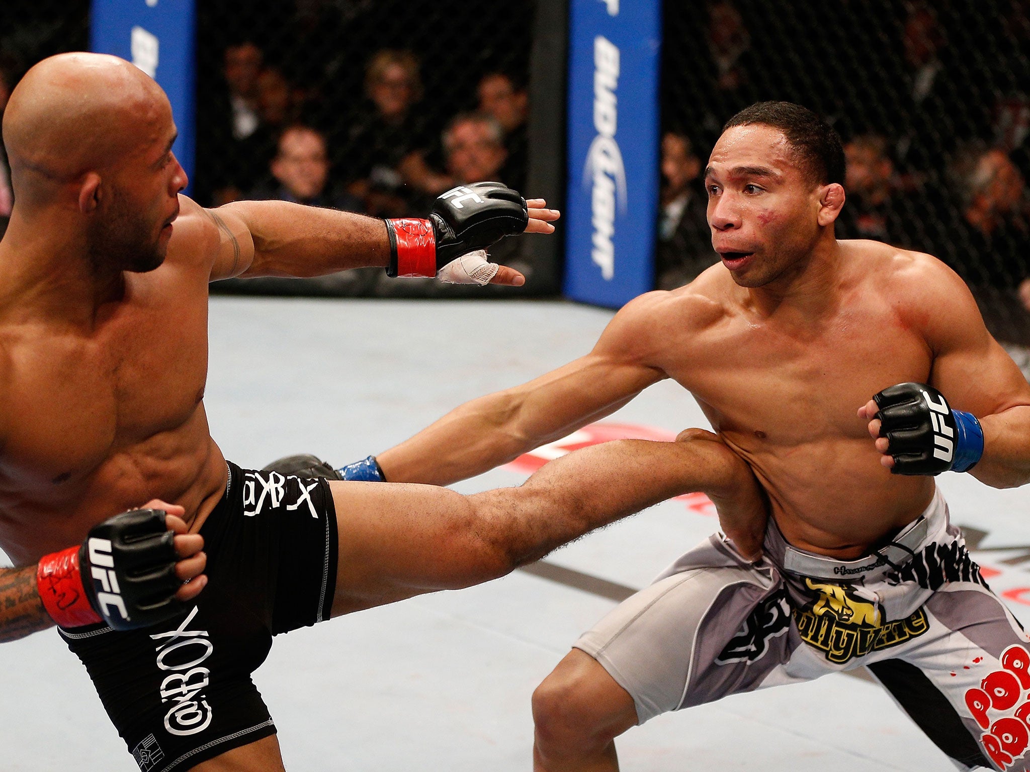 Demetrious Johnson kicks John Dodson (Josh Hedges/ Zuffa LLC)