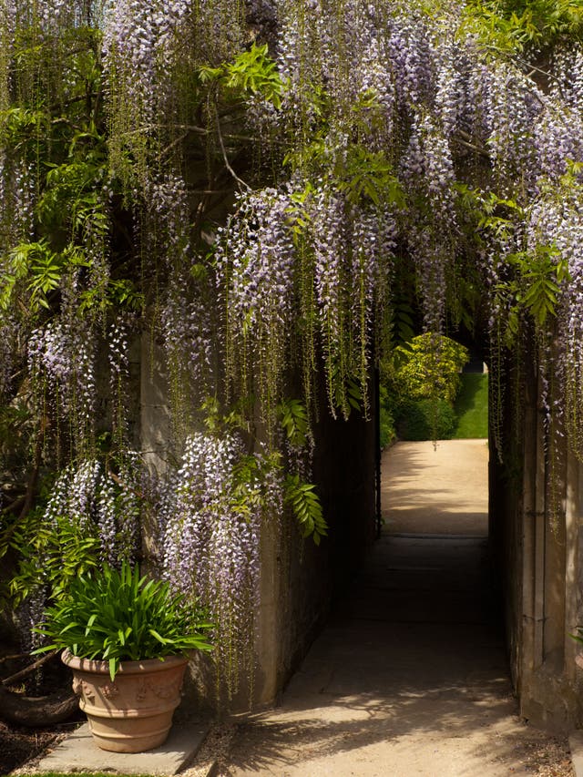 Worcester College has won Best College Garden in Oxford in Bloom more than once