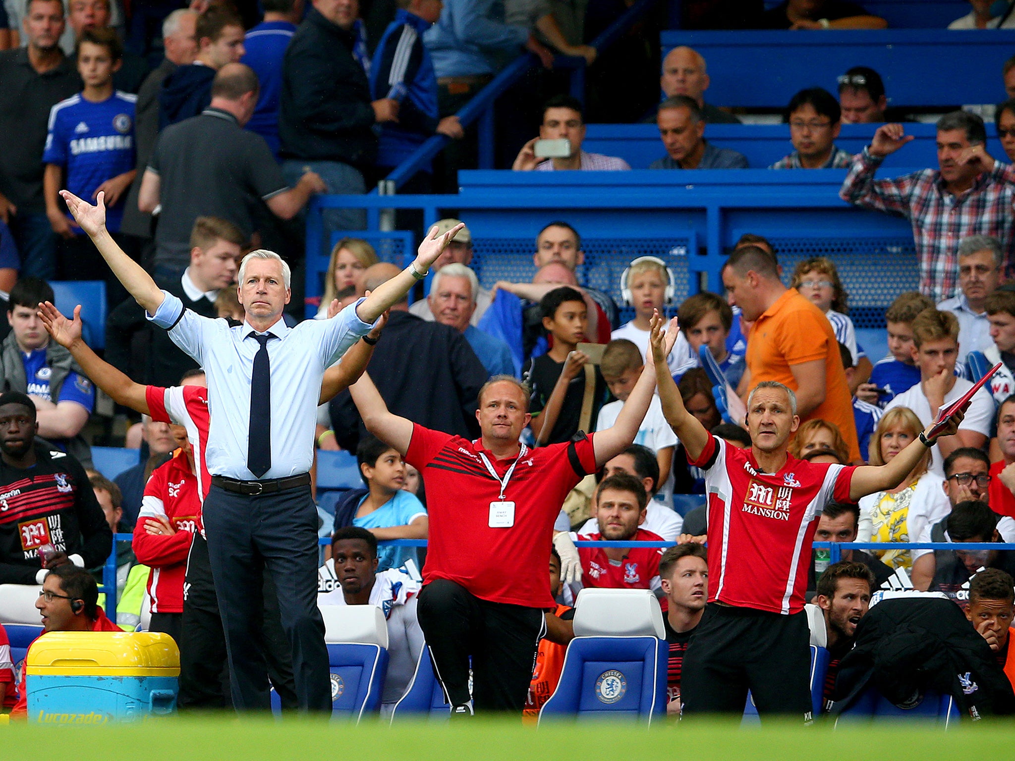 Alan Pardew says Crystal Palace deserve their second place in the Premier League table