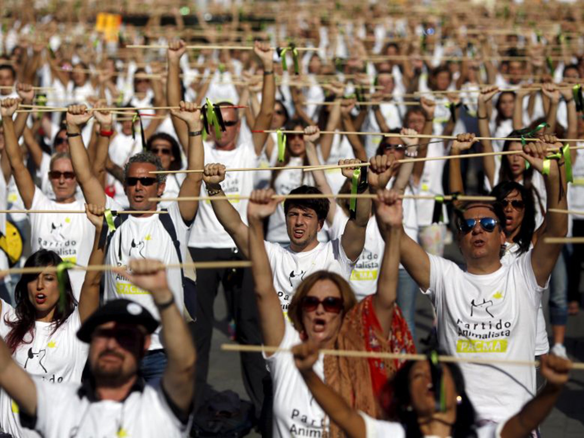 Animal rights protesters in Madrid