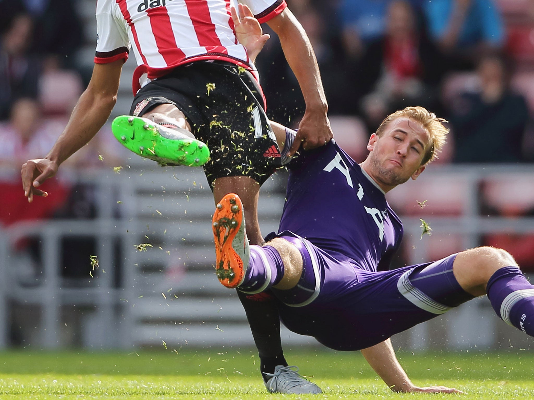 Harry Kane in action against Sunderland