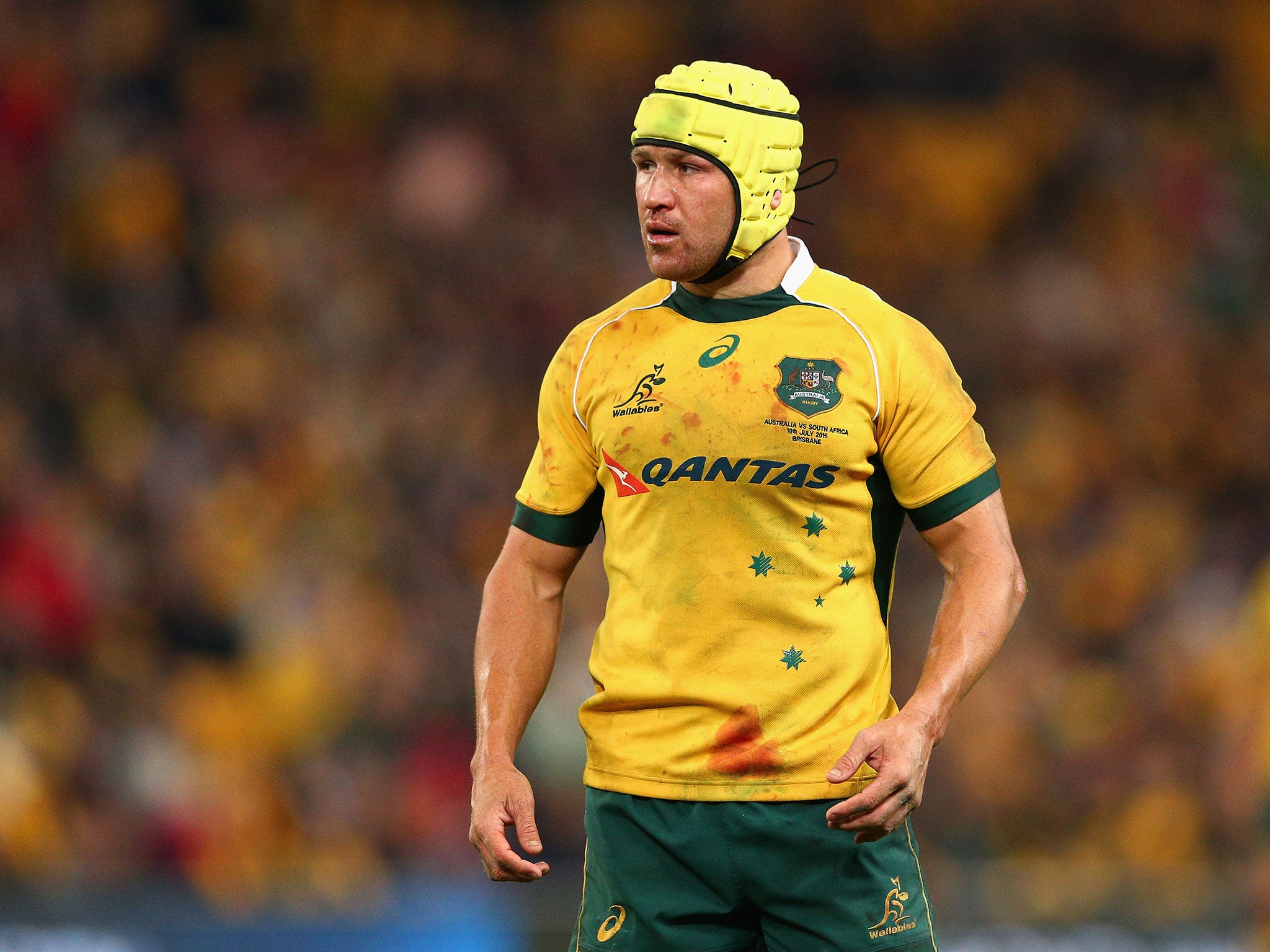 Matt Giteau