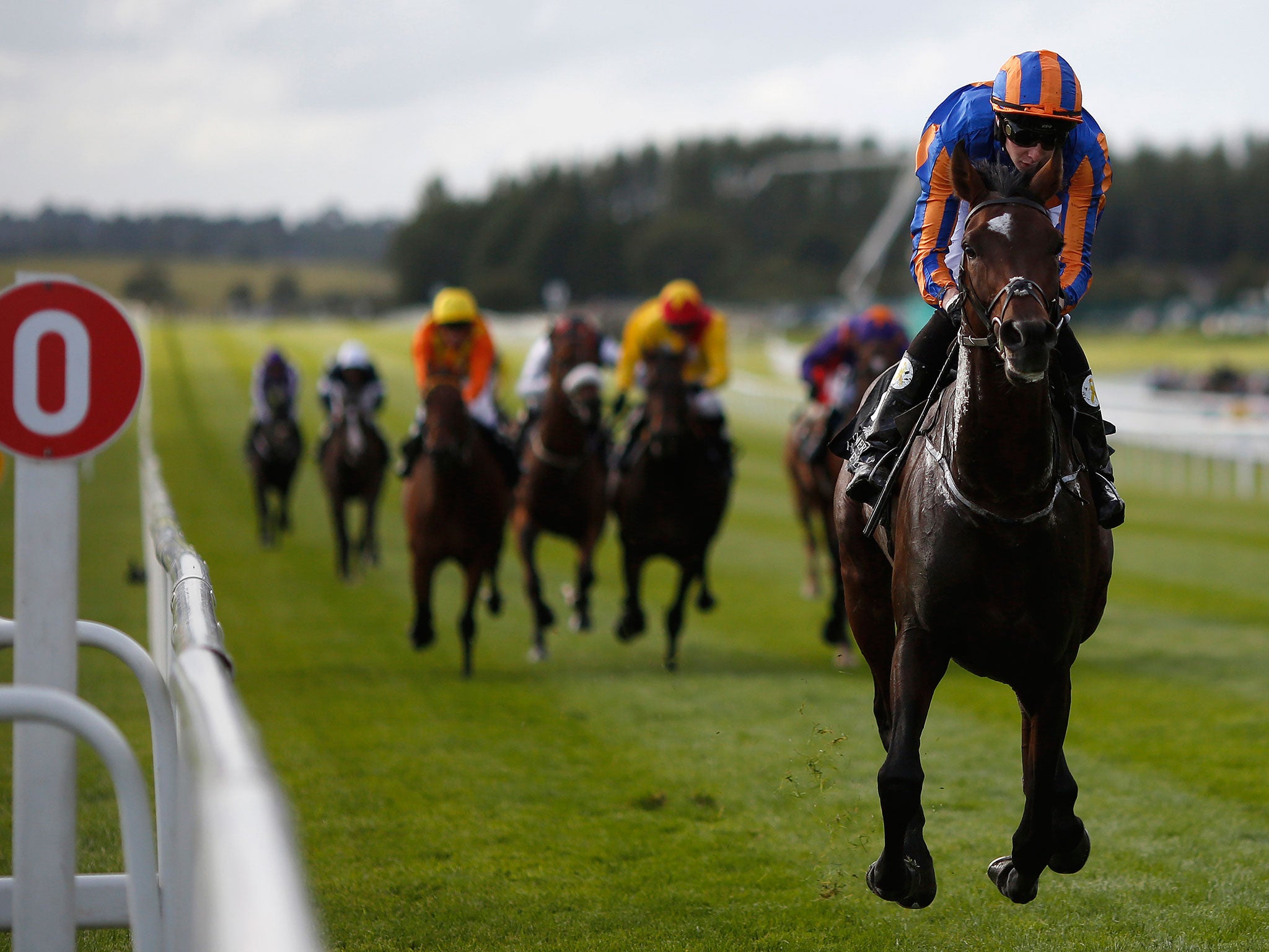 Order of St George, ridden by Joseph O’Brien, eases to victory in the Irish St Leger at the Curragh