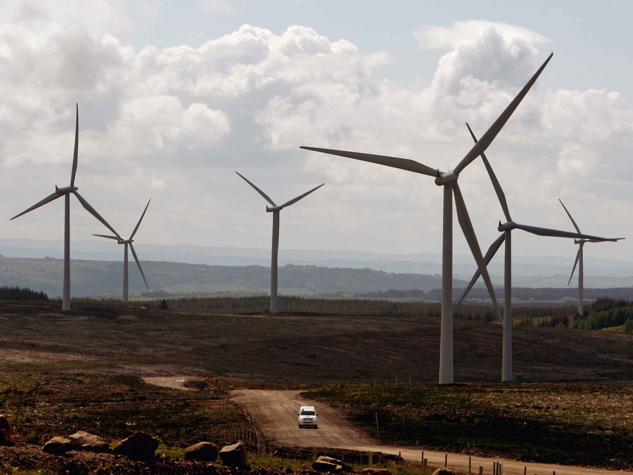 Investment in Scottish wind farms has stalled after the announcement any new wind projects would be excluded from a subsidy