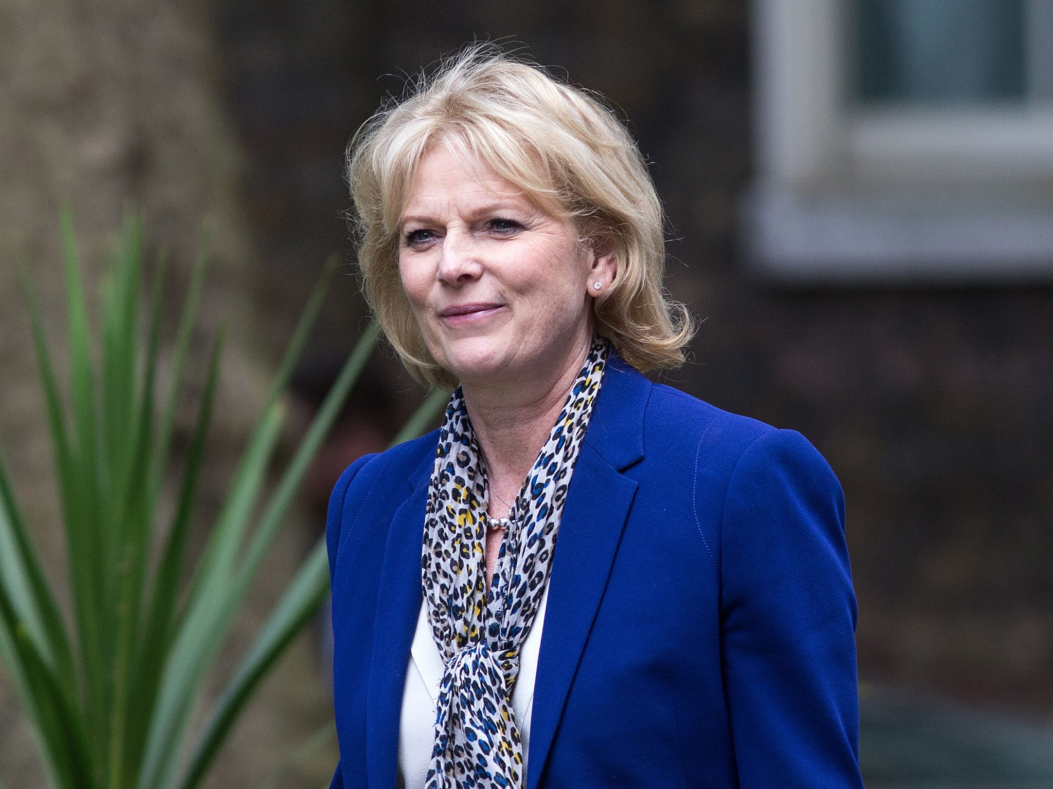 Anna Soubry: ‘Insufficient evidence to warrant enforcement action’