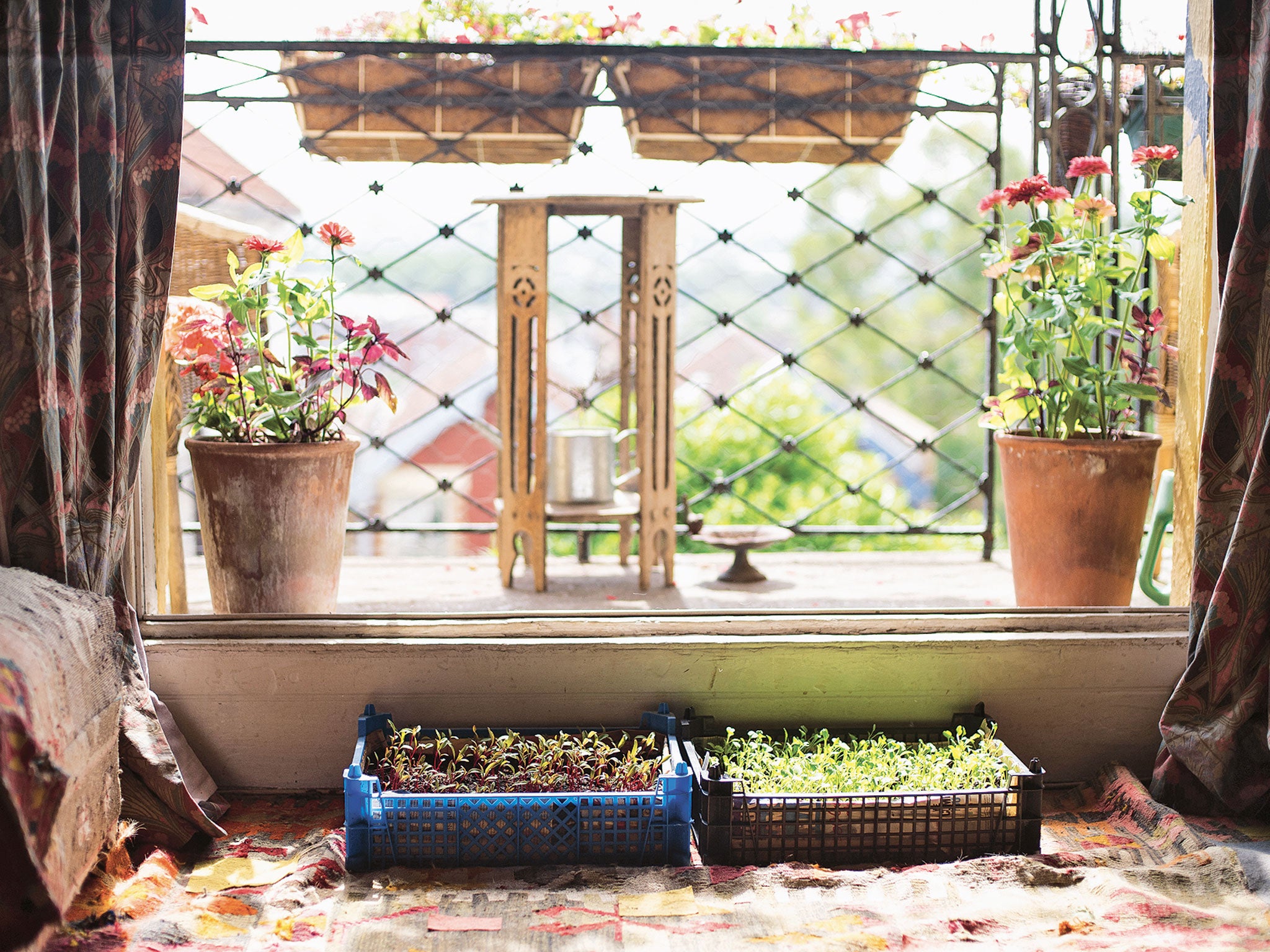 Bristol artist Nell Nile's light-filled second-floor balcony