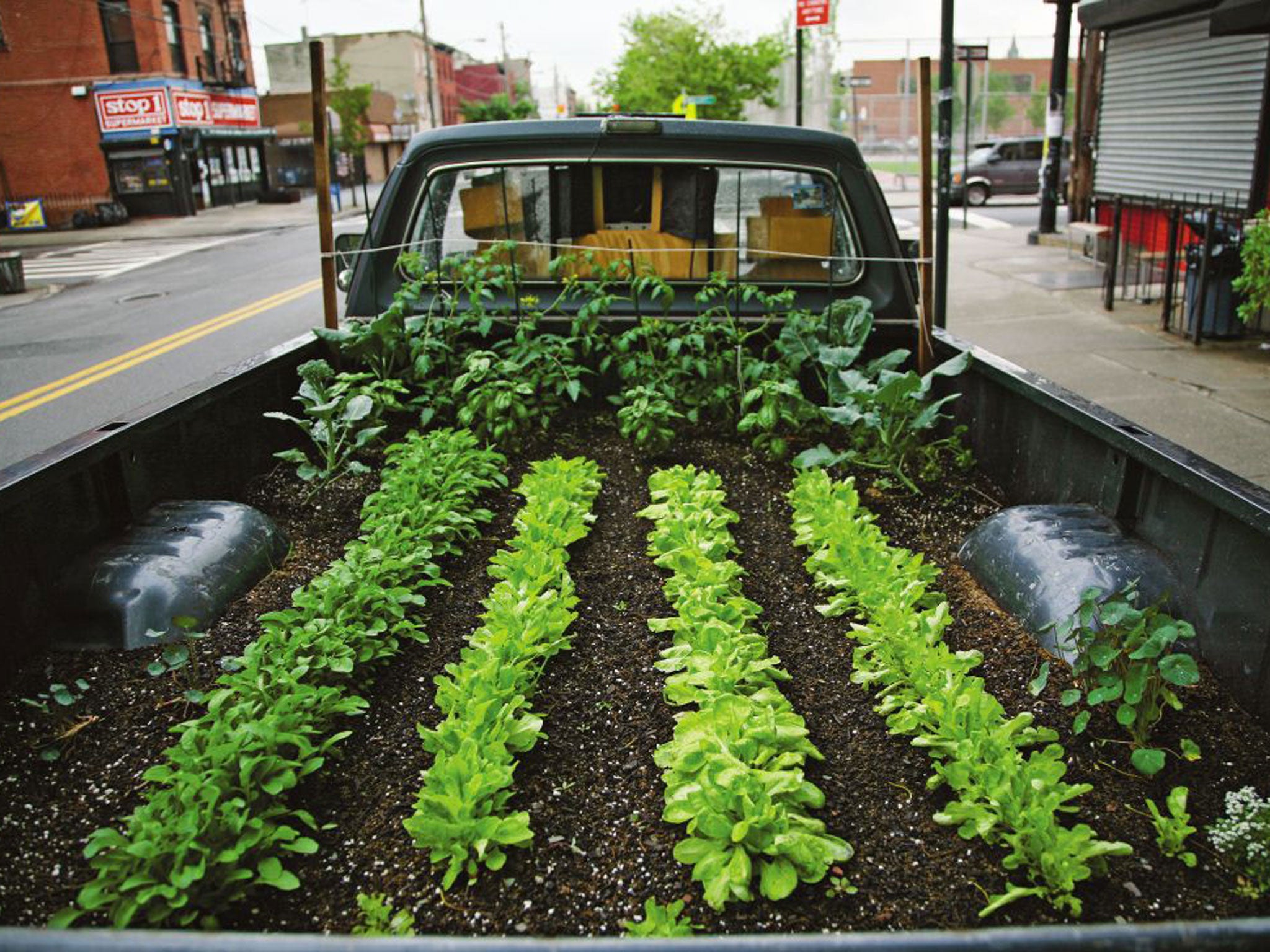 Documentary maker Ian Cheney's New York Truck Farm mobile education project