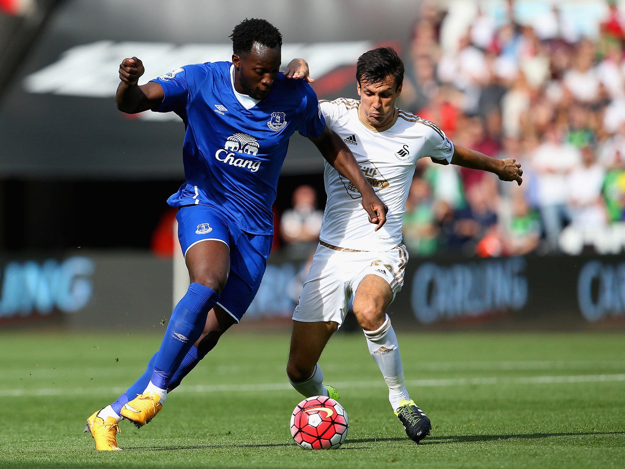 Romelu Lukaku and Jack Cork compete for the ball