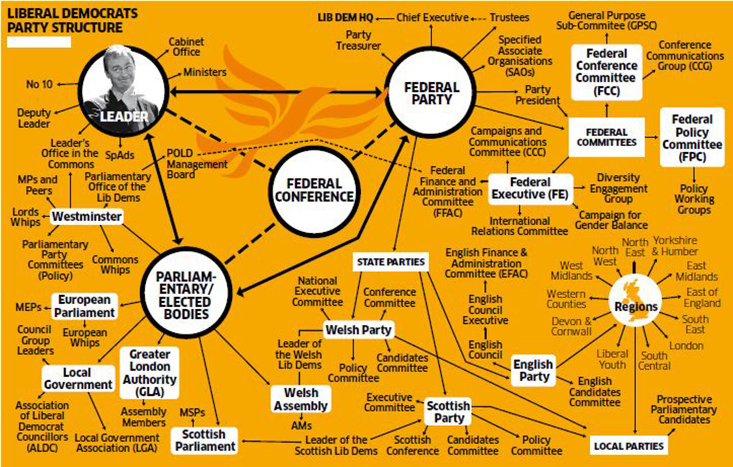 The Lib Dem's party structure