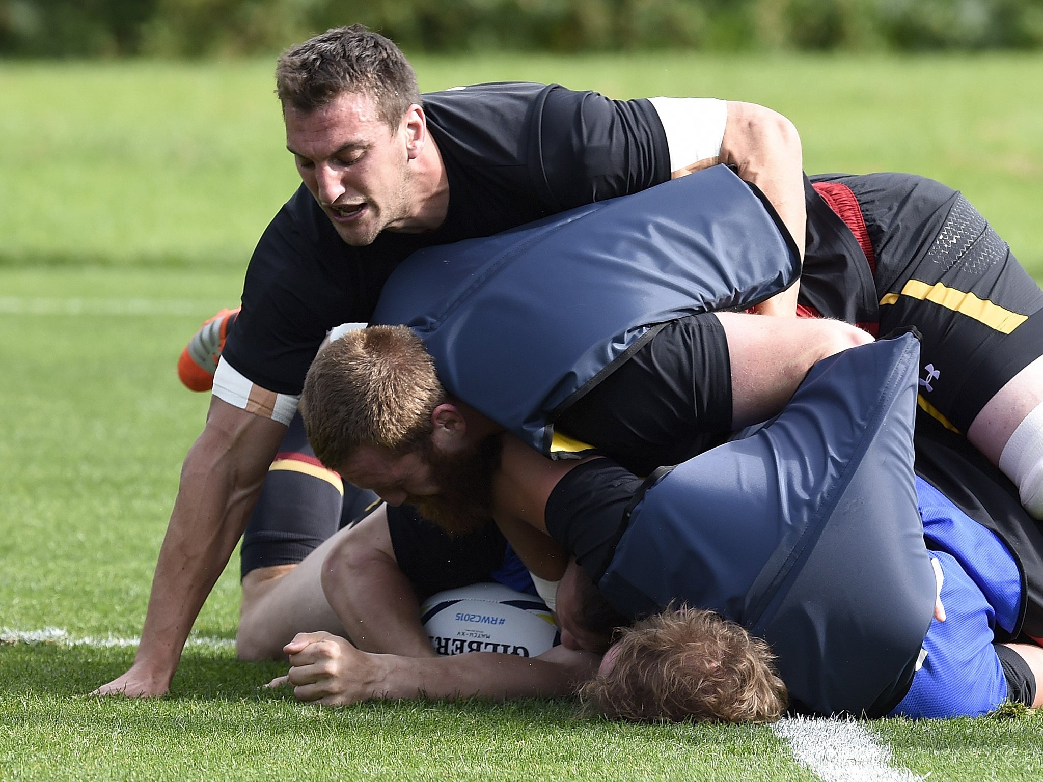 Wales skipper Sam Warburton