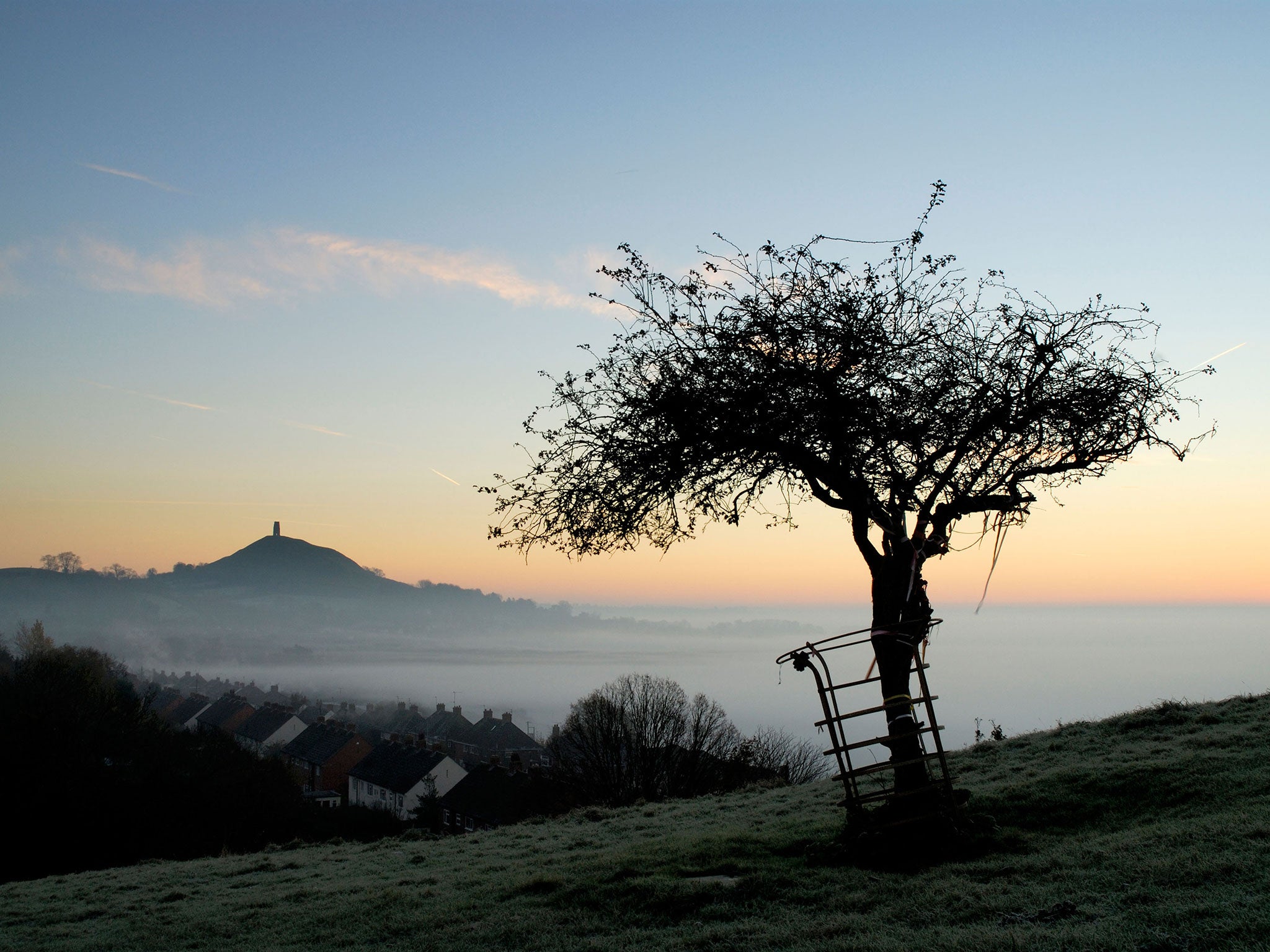 Glastonbury Tor and Holy Thorn at sunrise in winter