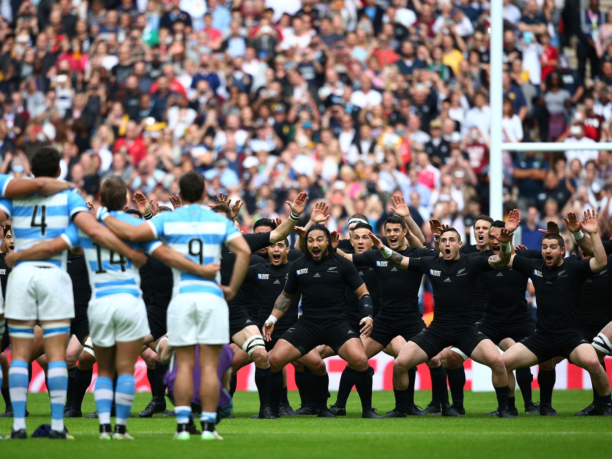 New Zealand perform the Haka ahead of their match with Argentina