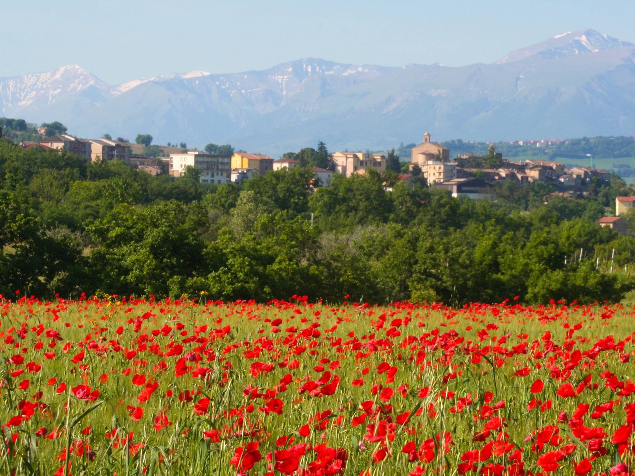 Colmurano, backed by the Sibillini range