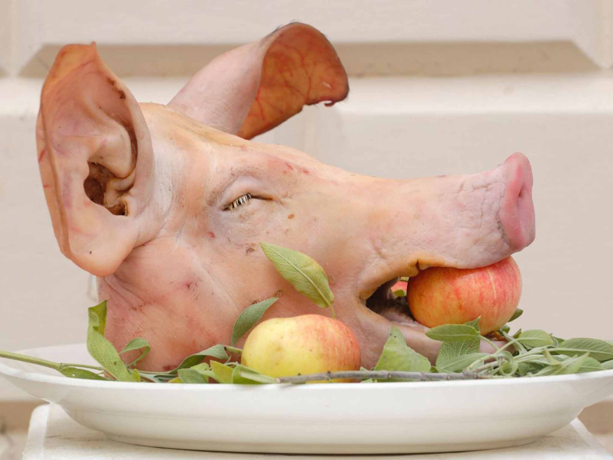 A pig's head