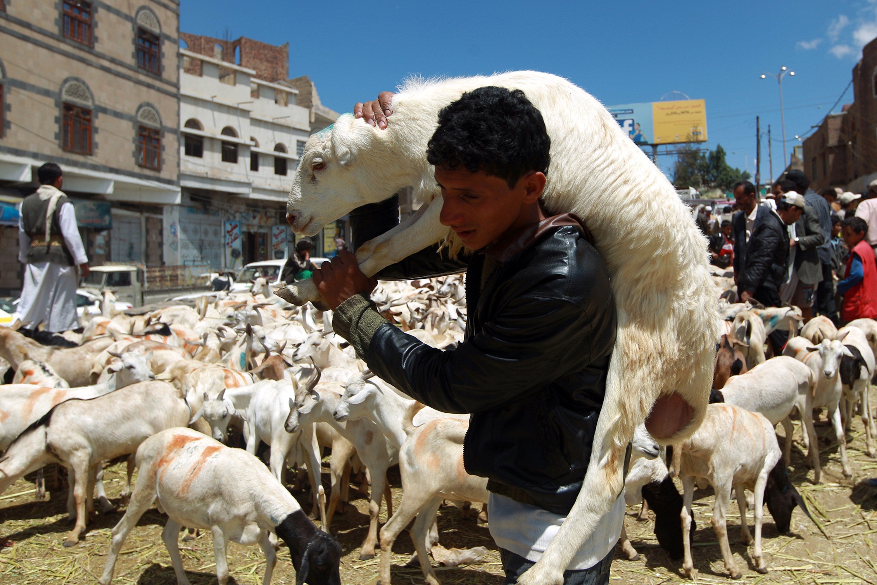 A man carries a sacrificial sheep at a market in Yemen, two days before the Eid al-Adha festival in 2014 (AFP/Getty)