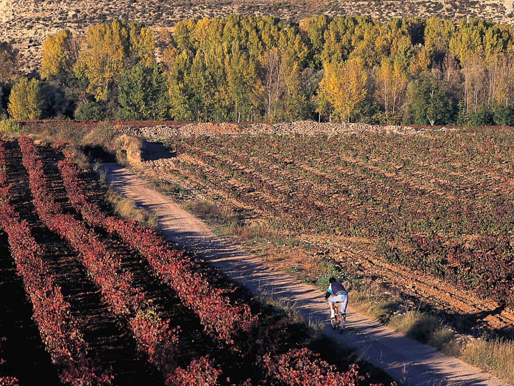 El Camino Natural del Ebro - GR 99